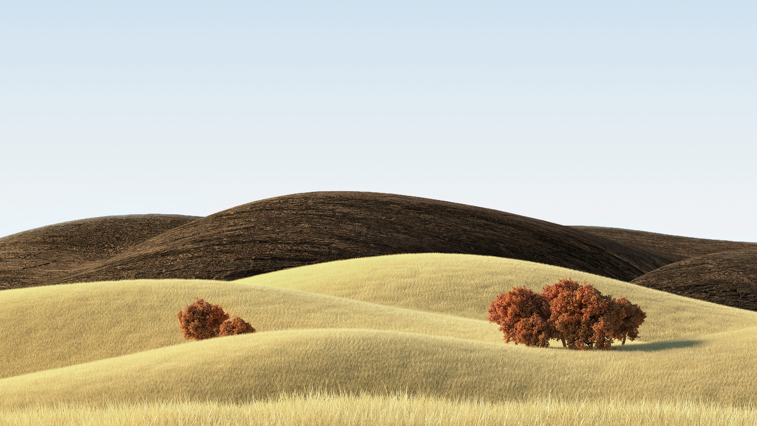 自然风光,沙丘,草地,