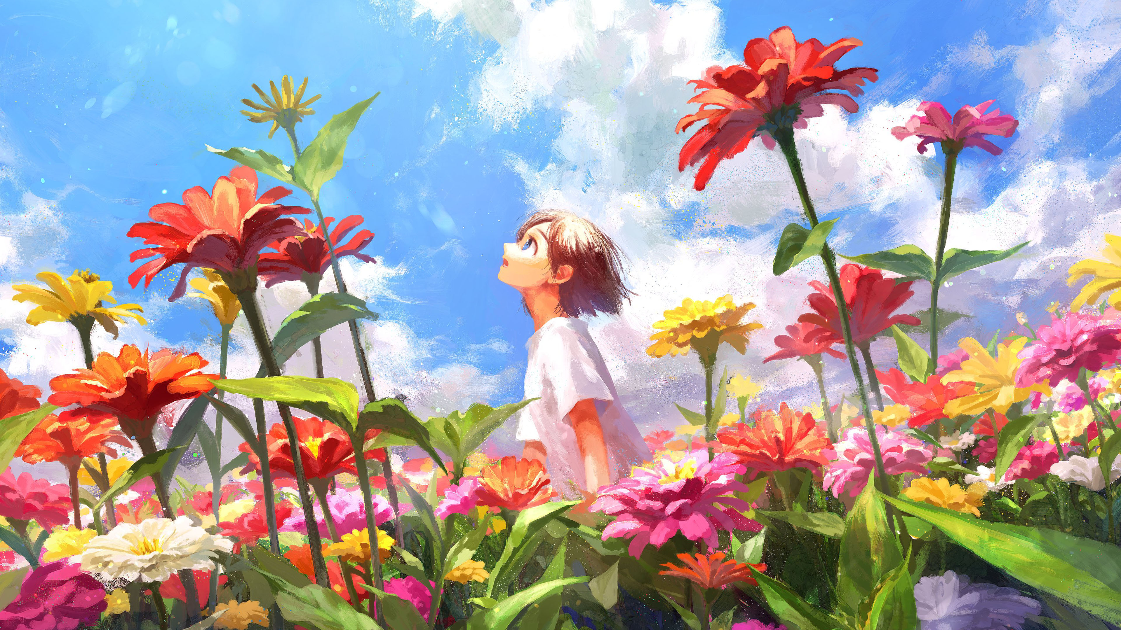 花海,仰望,天空