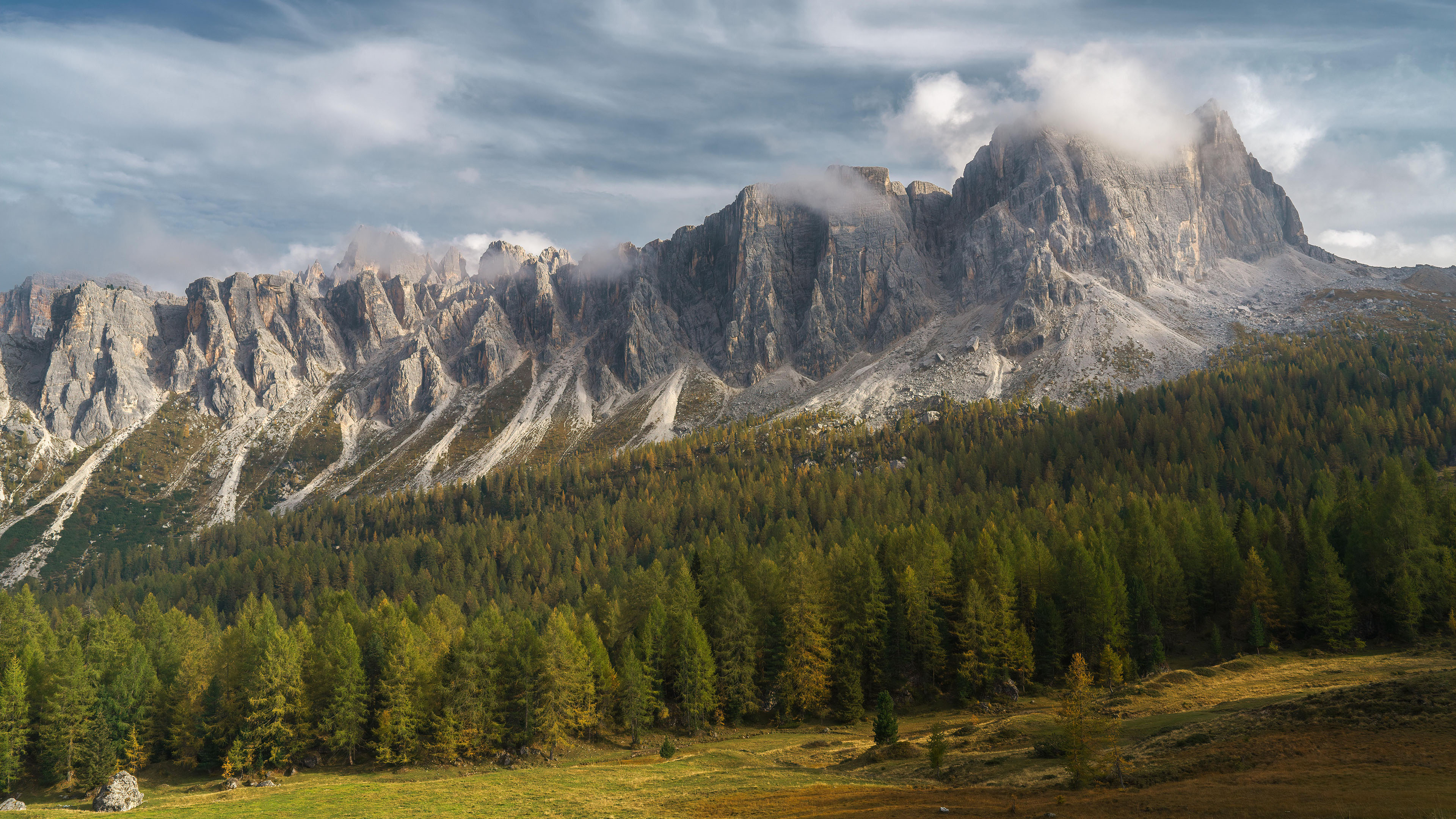 自然风光,树林,雪山,奇观
