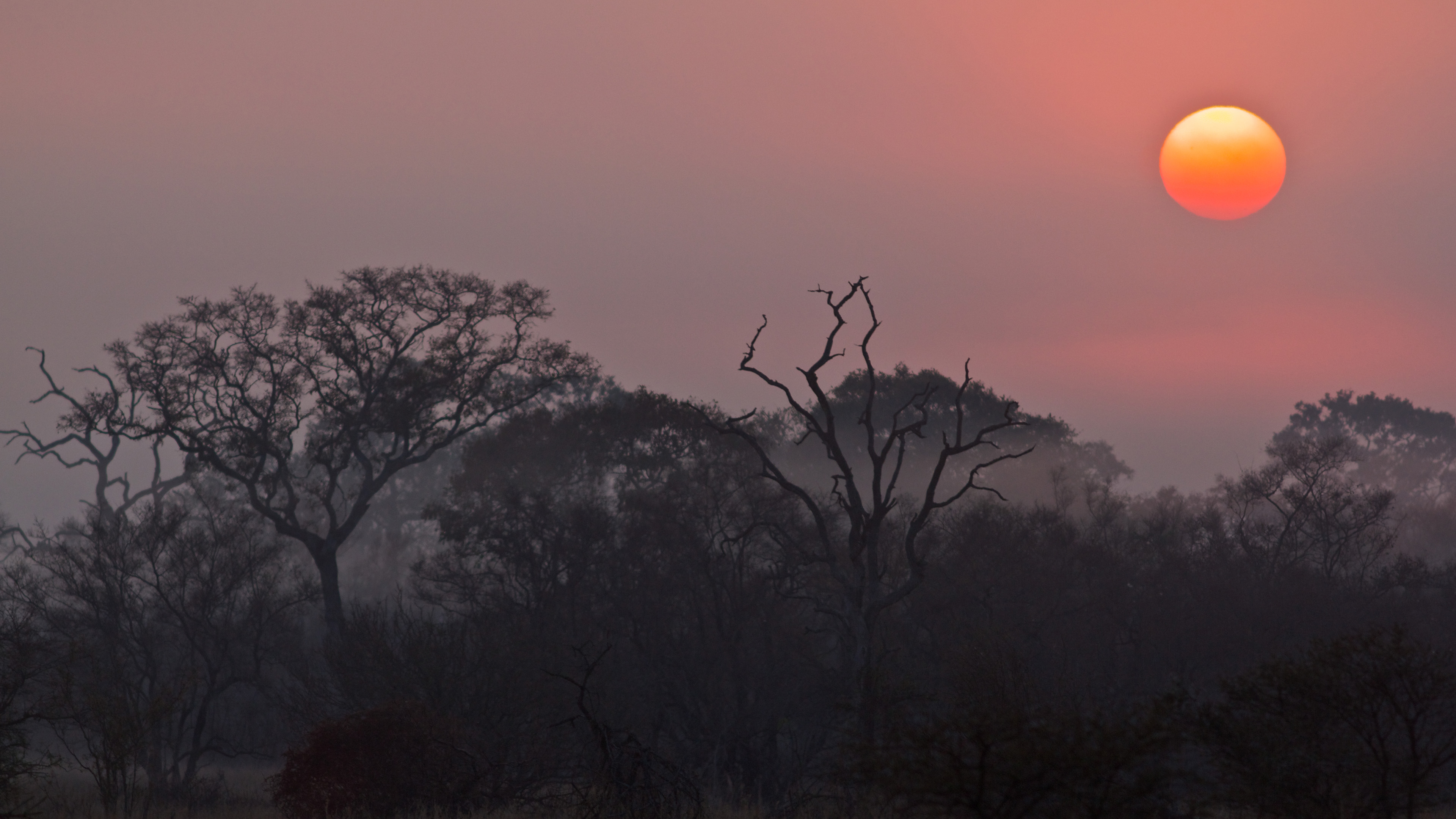 自然风光,日出,日落
