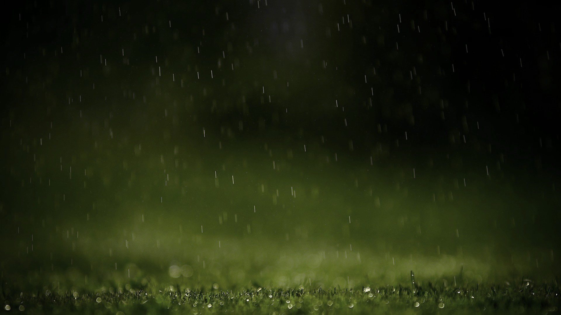 护眼壁纸,小雨,草地,碧绿