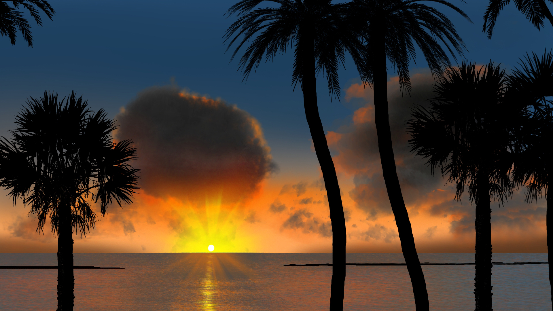 日出,椰树,海平面,海天一线