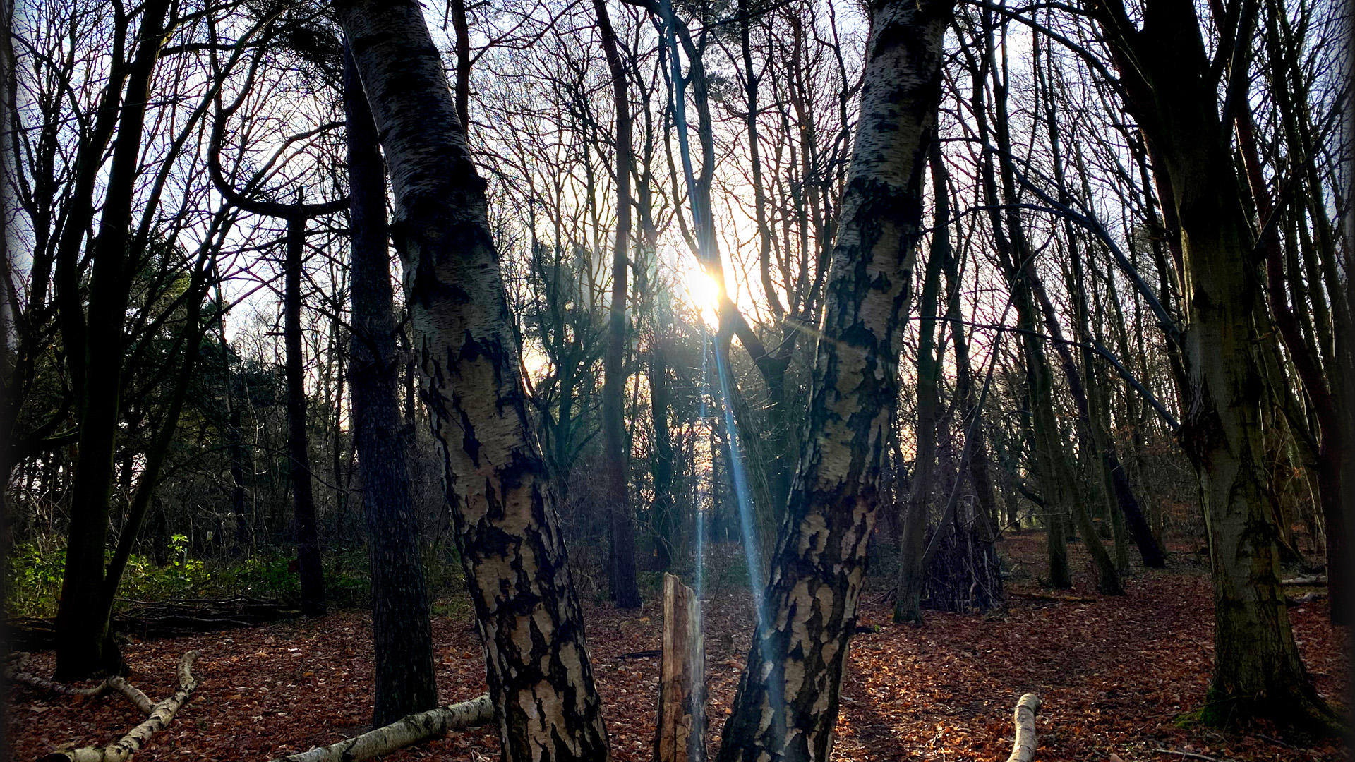 自然风光,日出,阳光