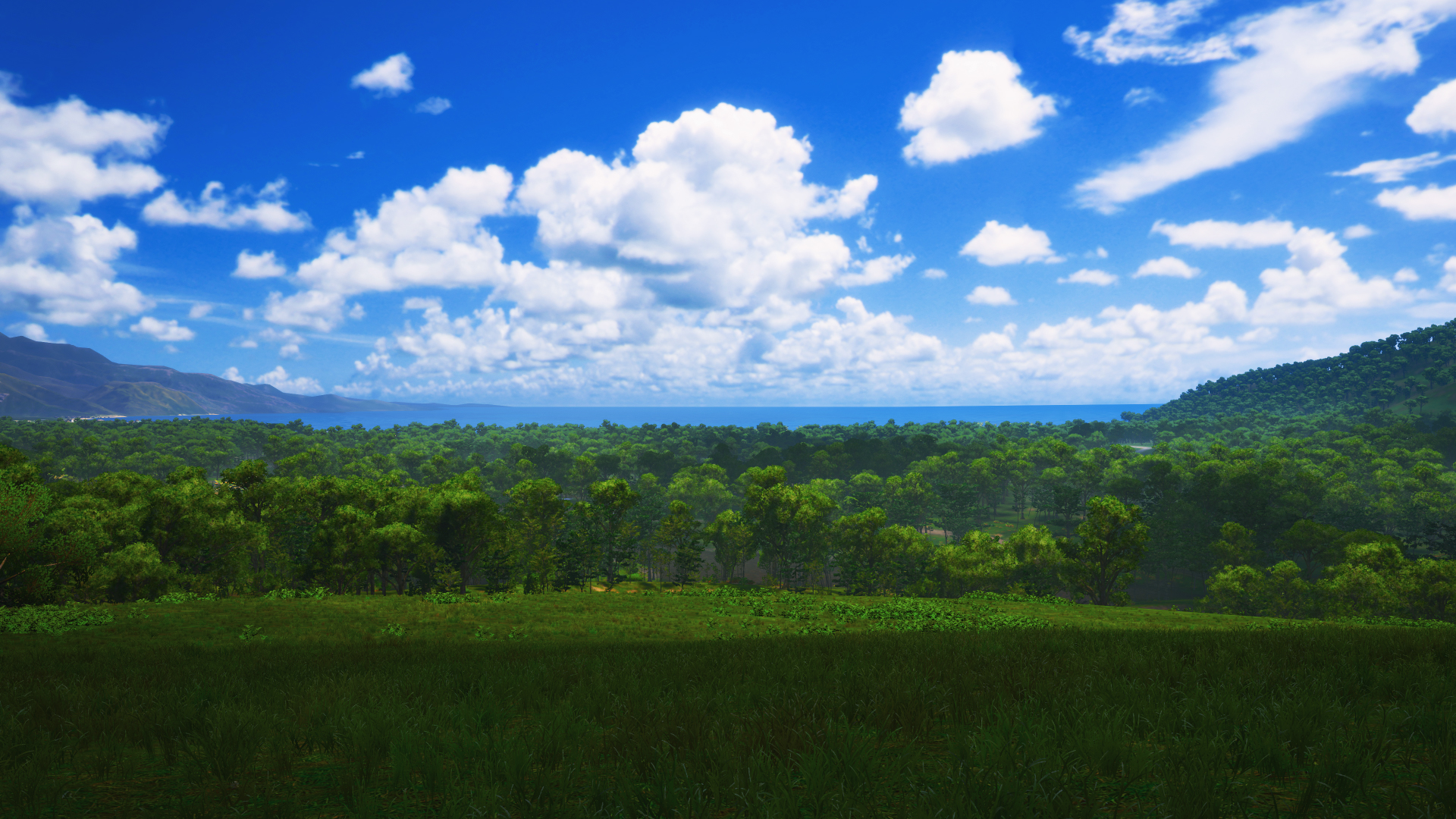 自然风光,树林,海洋,白云