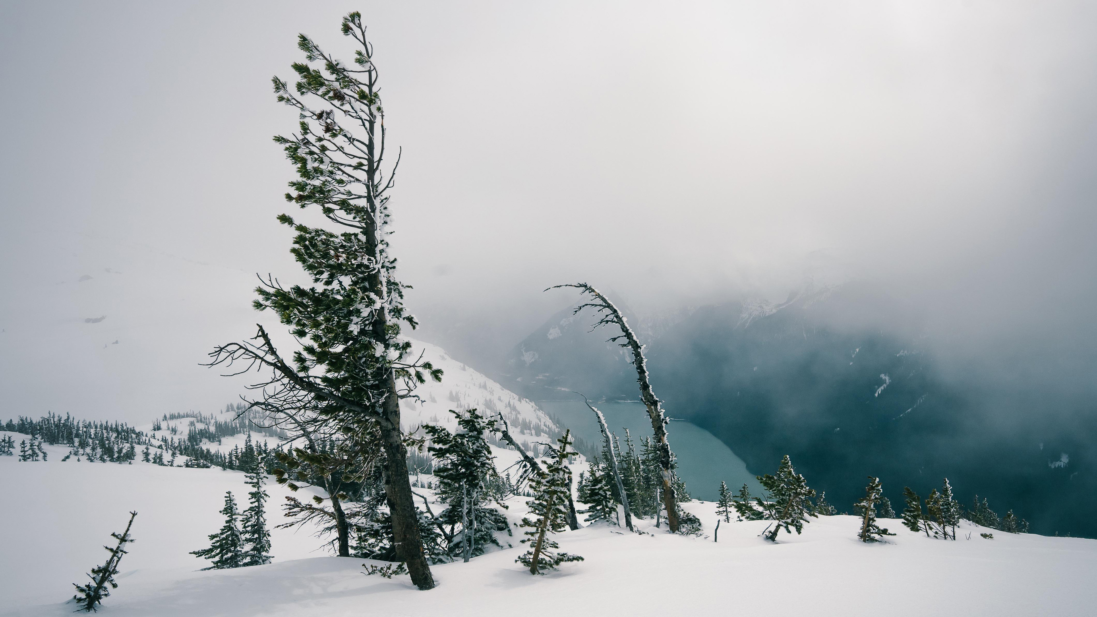 冰天雪地,白雪,大雪