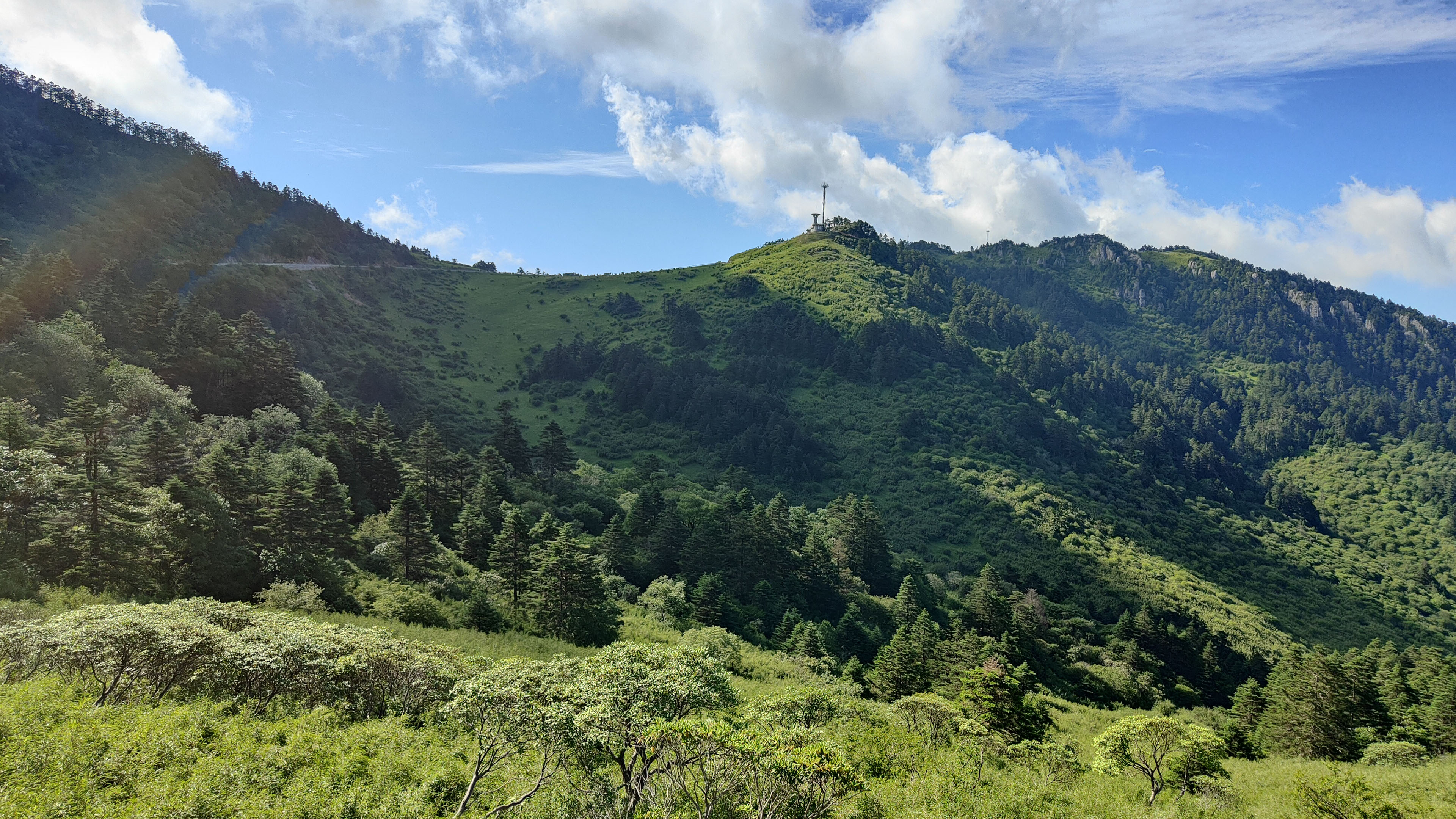 自然风光,树林,山脉