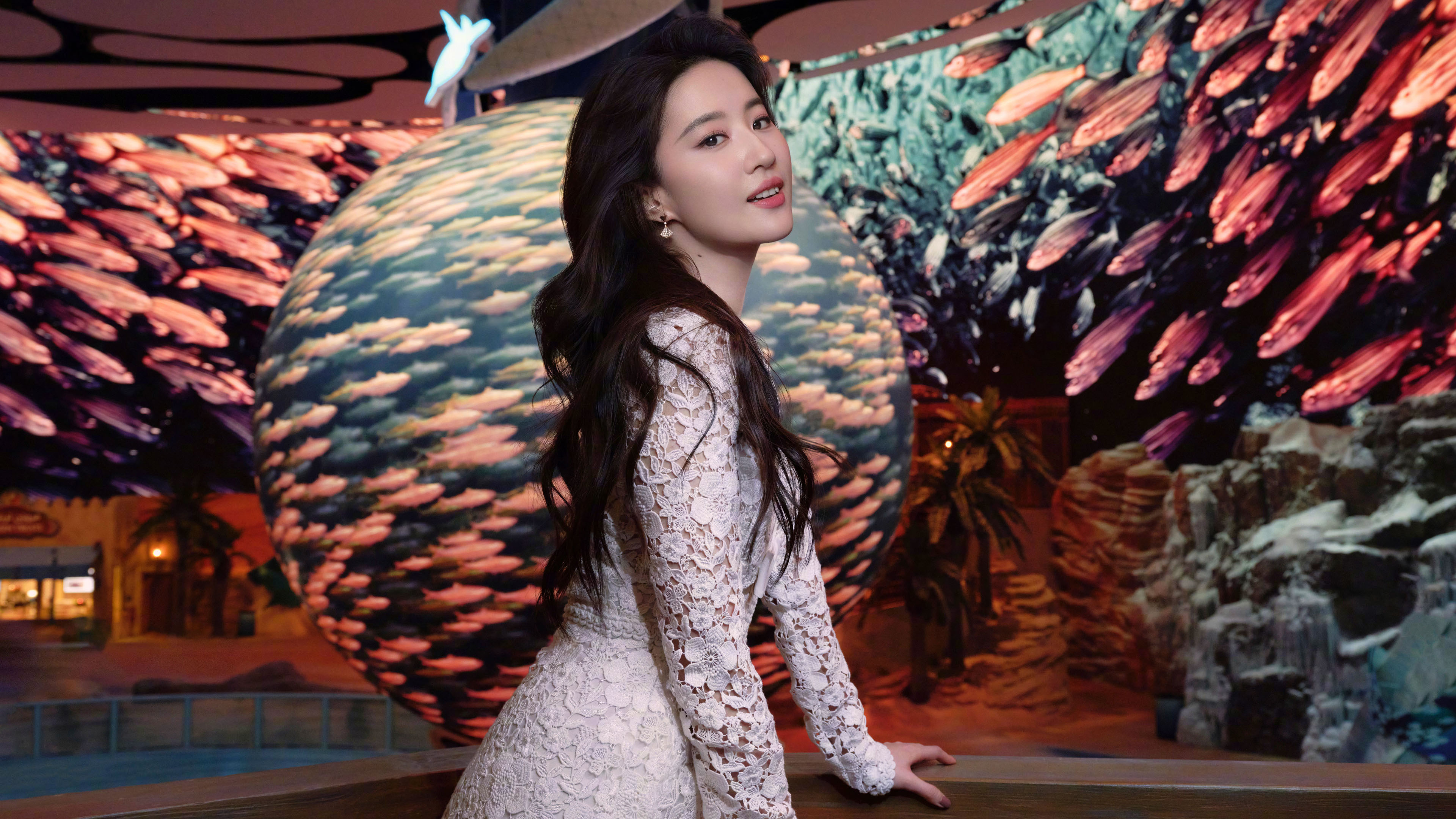 刘亦菲,阿布扎比