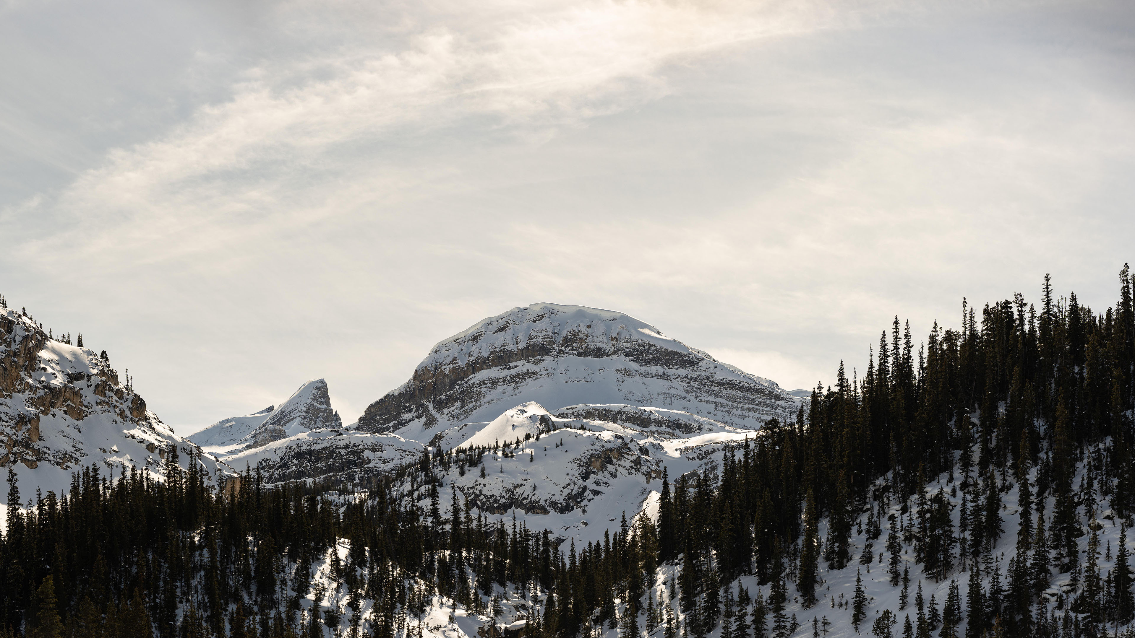 冰天雪地,树林,山顶