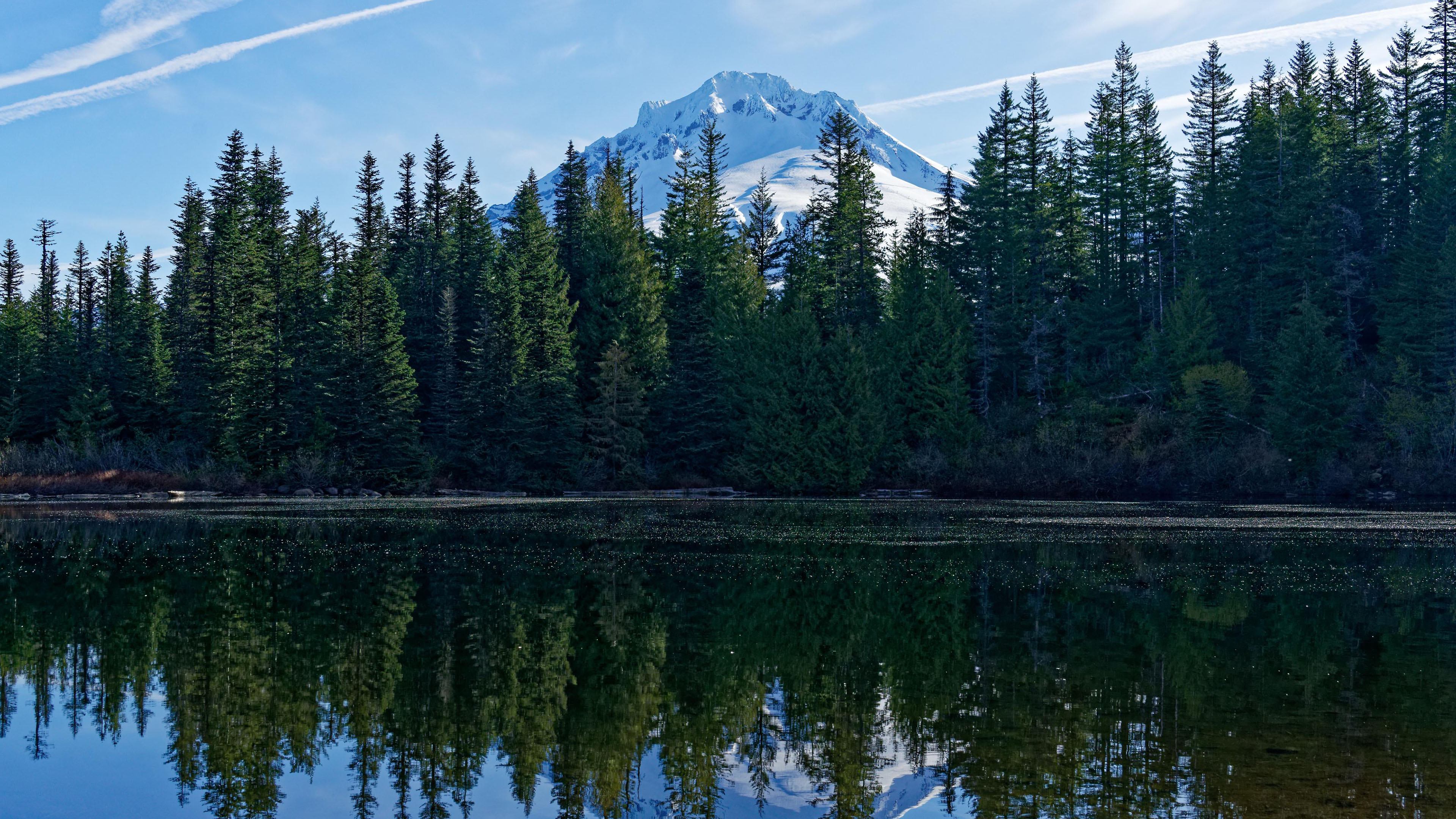 自然风光,树林,倒影,雪山,山峰