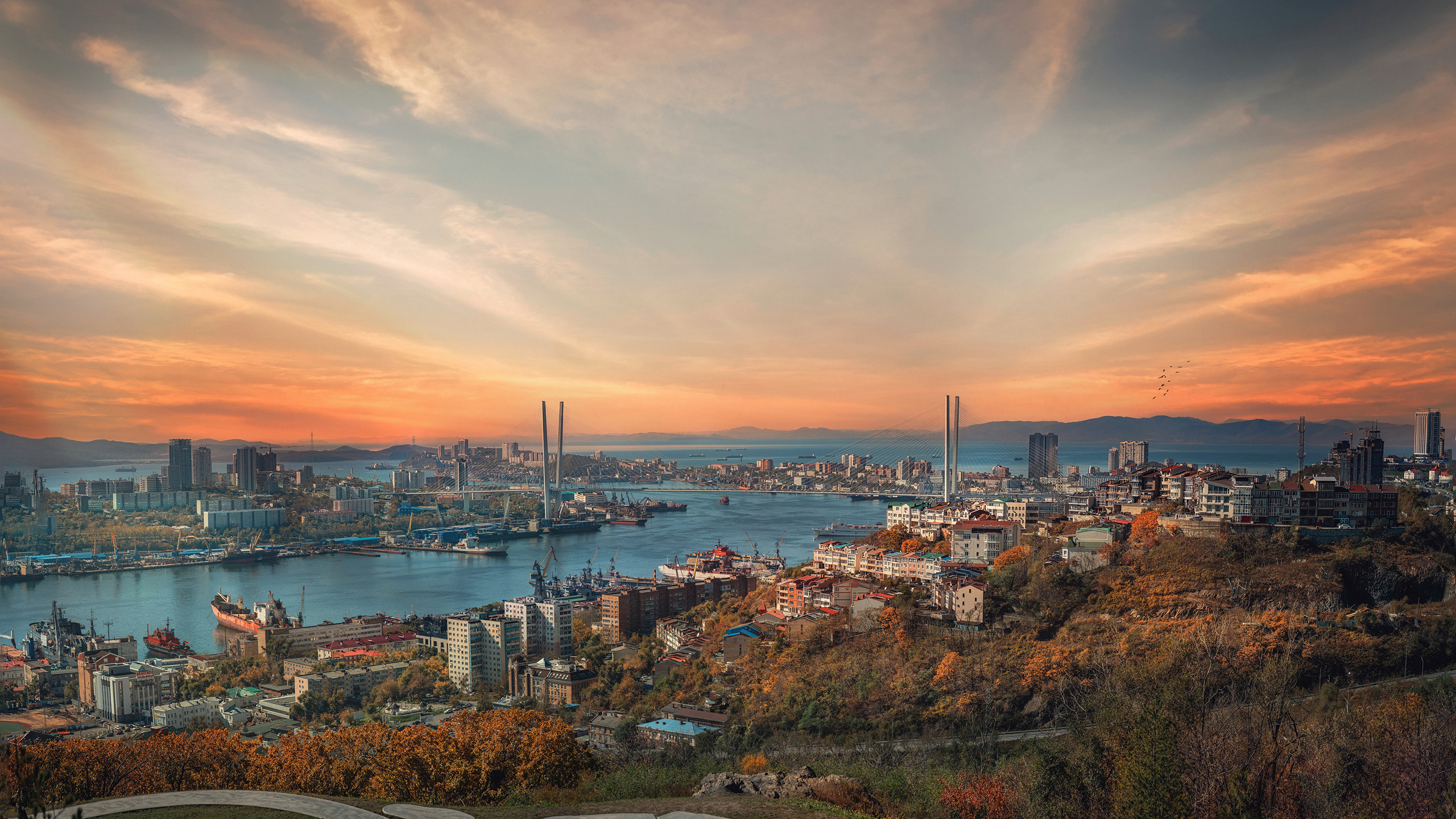 城市夜景,港口,跨海大桥,晚霞