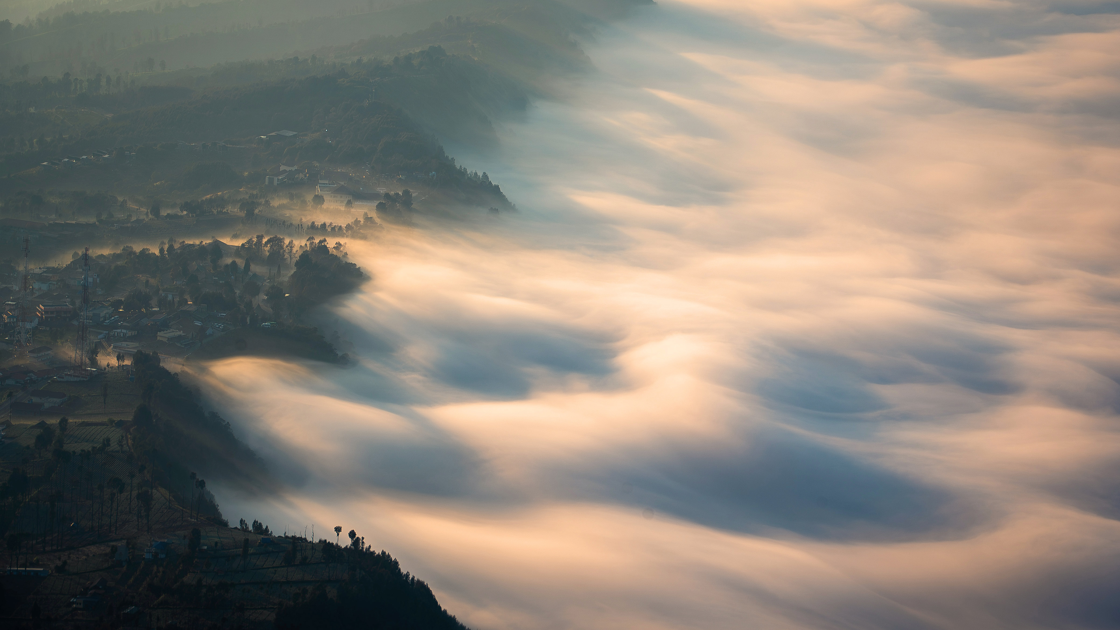 雾海,山脉,森林