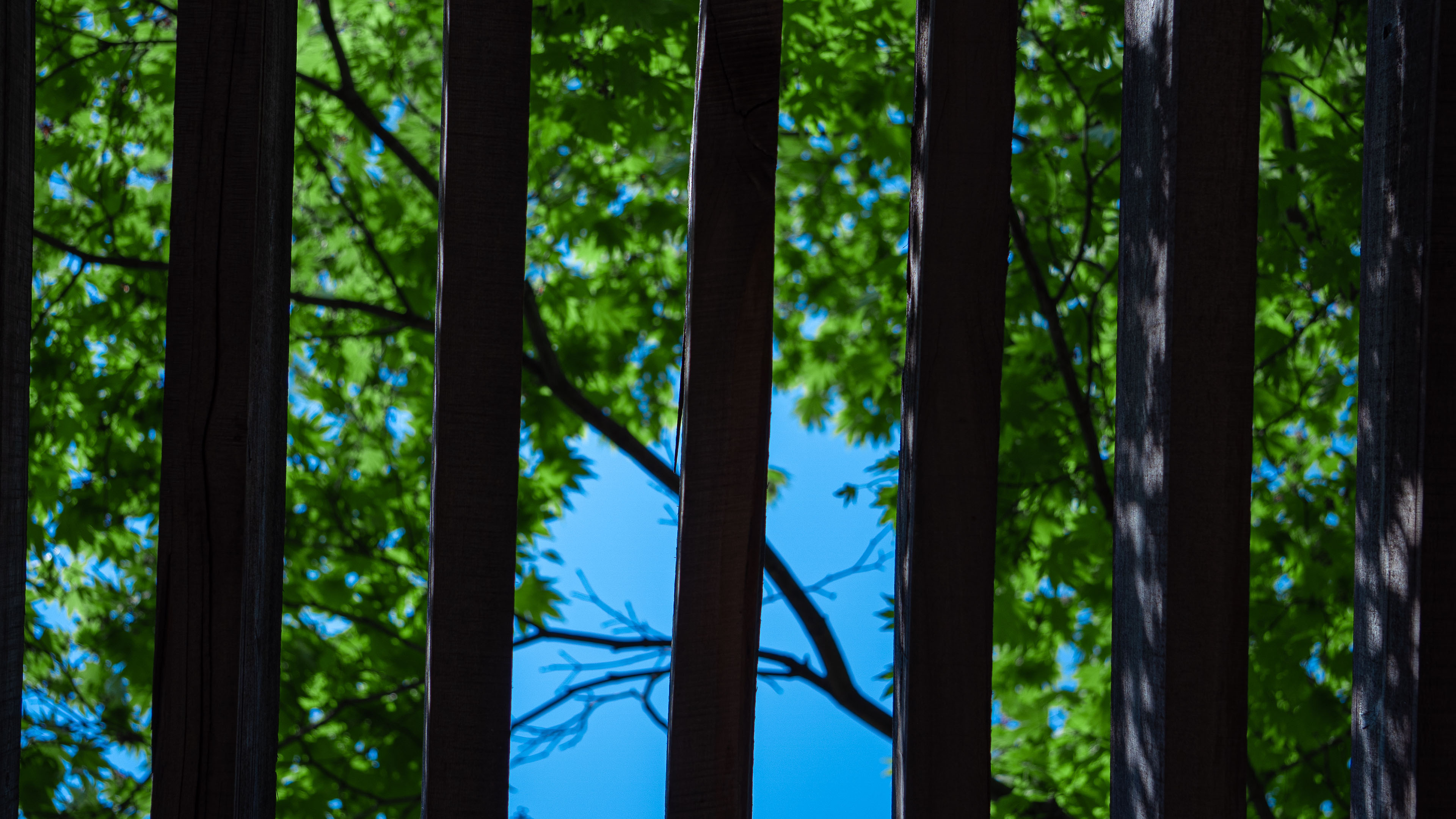 夏日炎炎,窗外,蓝天