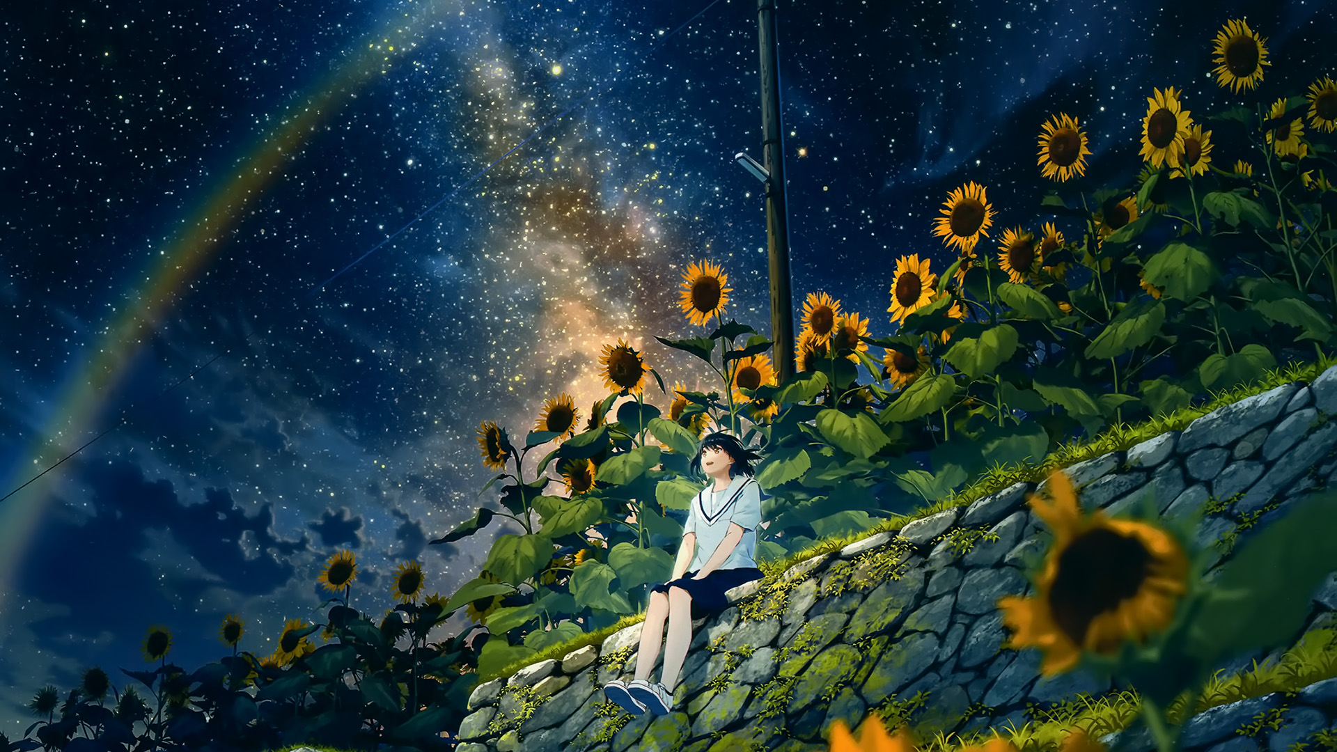 星空,向日葵,彩虹,小镇街道