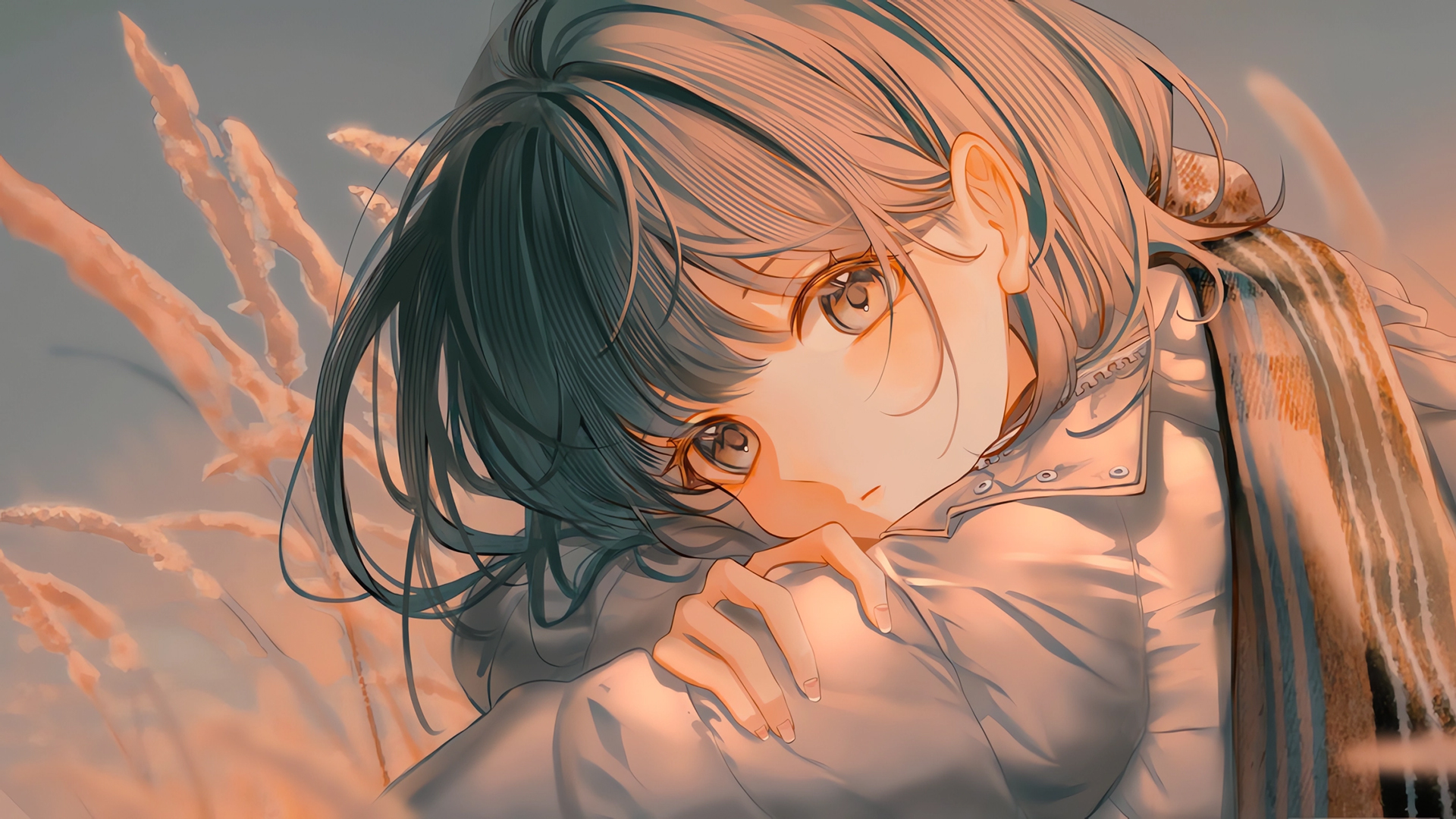 芦苇,大眼睛,芦苇