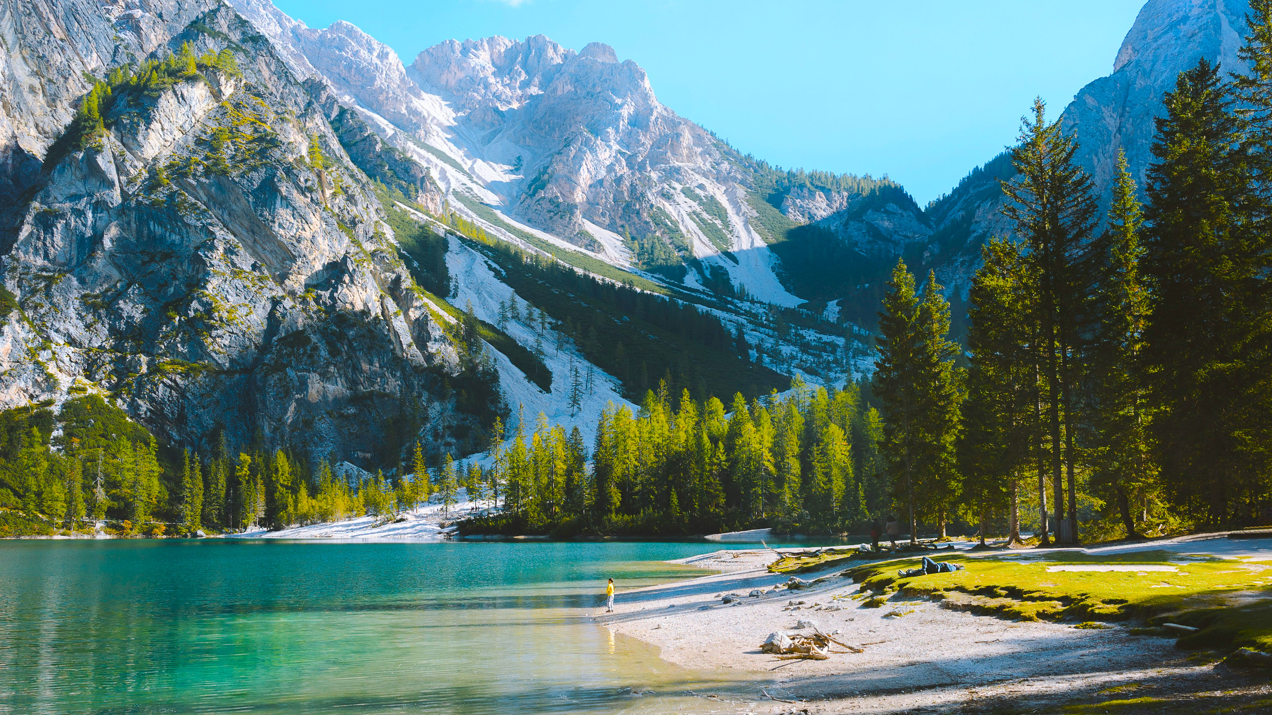 自然风光,树林,湖泊,雪山,山谷