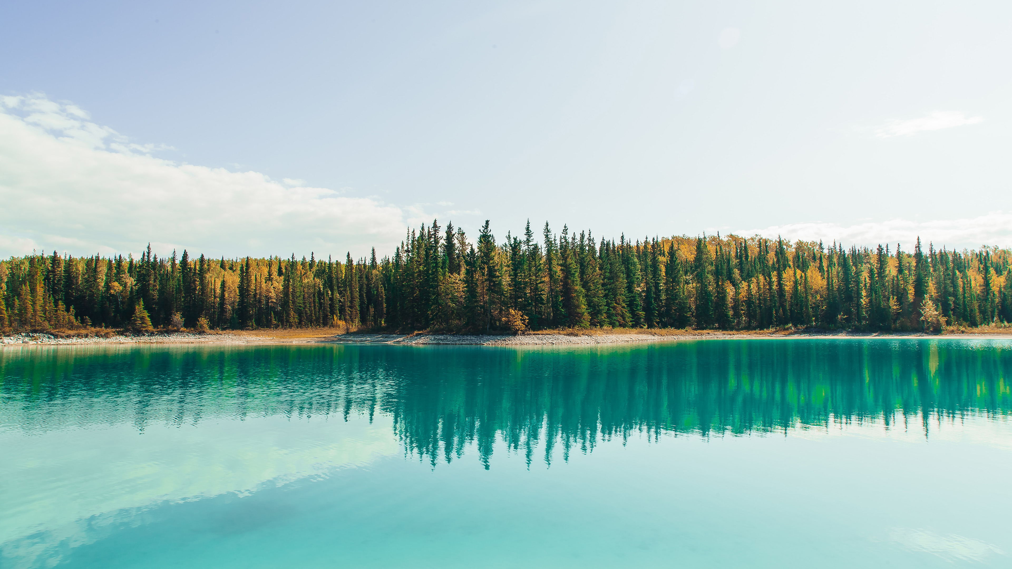 树林,湖泊,倒影,天空