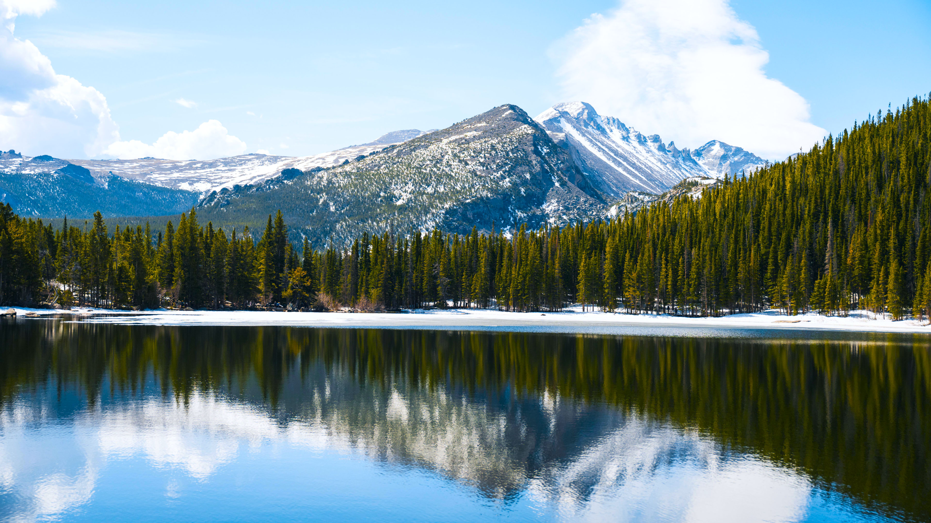 树林,倒影,湖泊