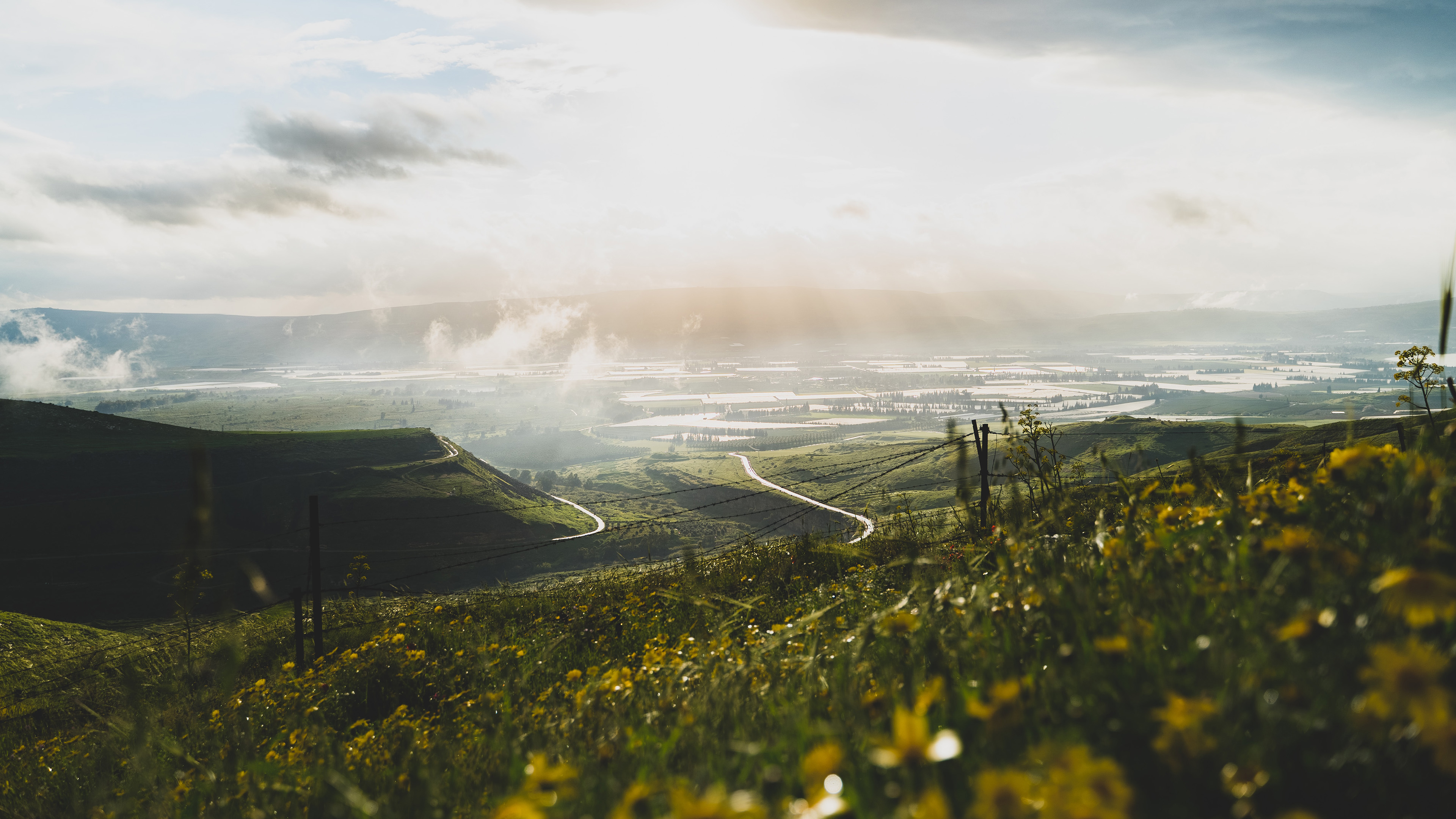 山坡,丘陵,阳光,蜿蜒,小路