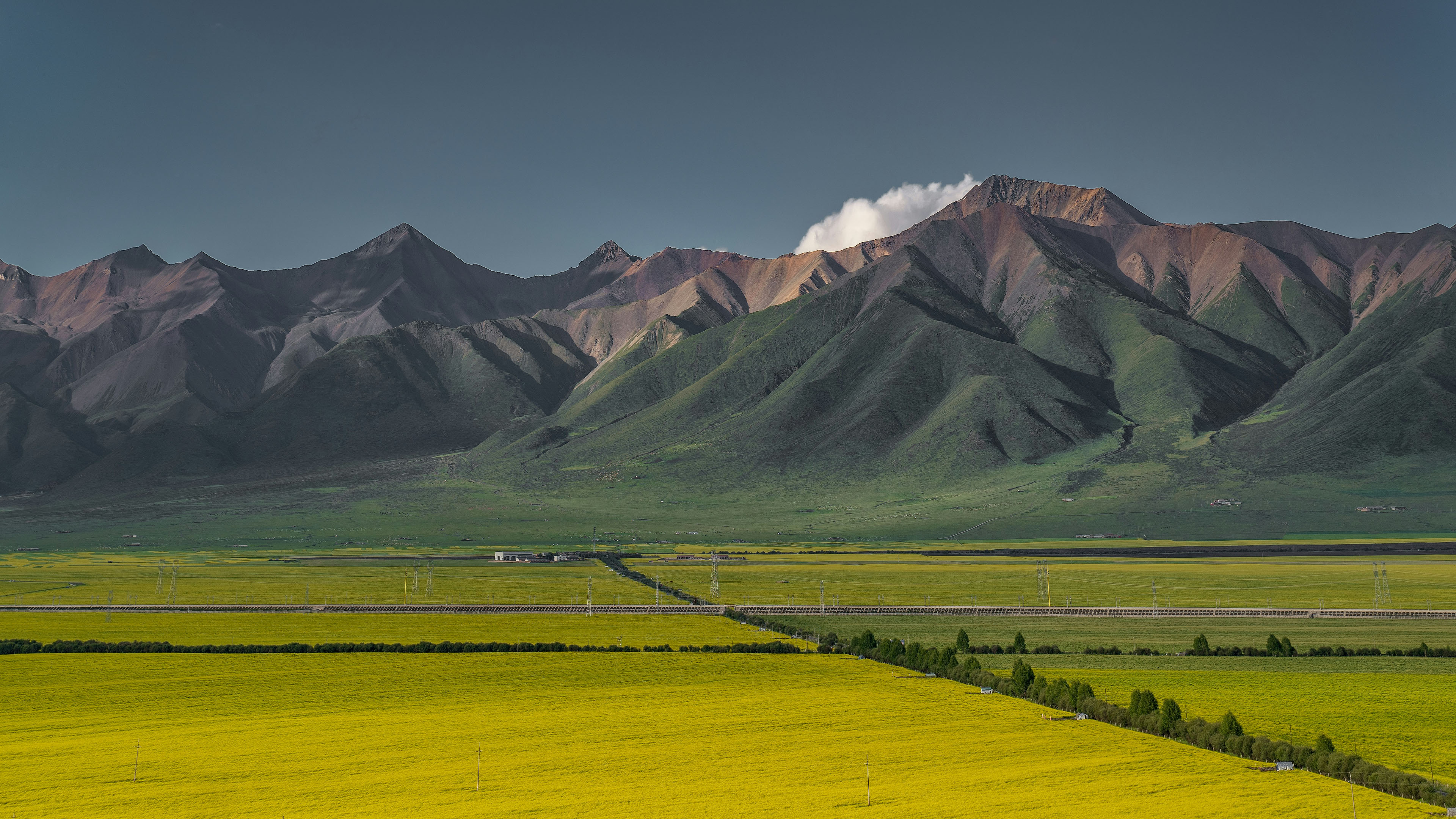 自然风光,农田,稻田,平原