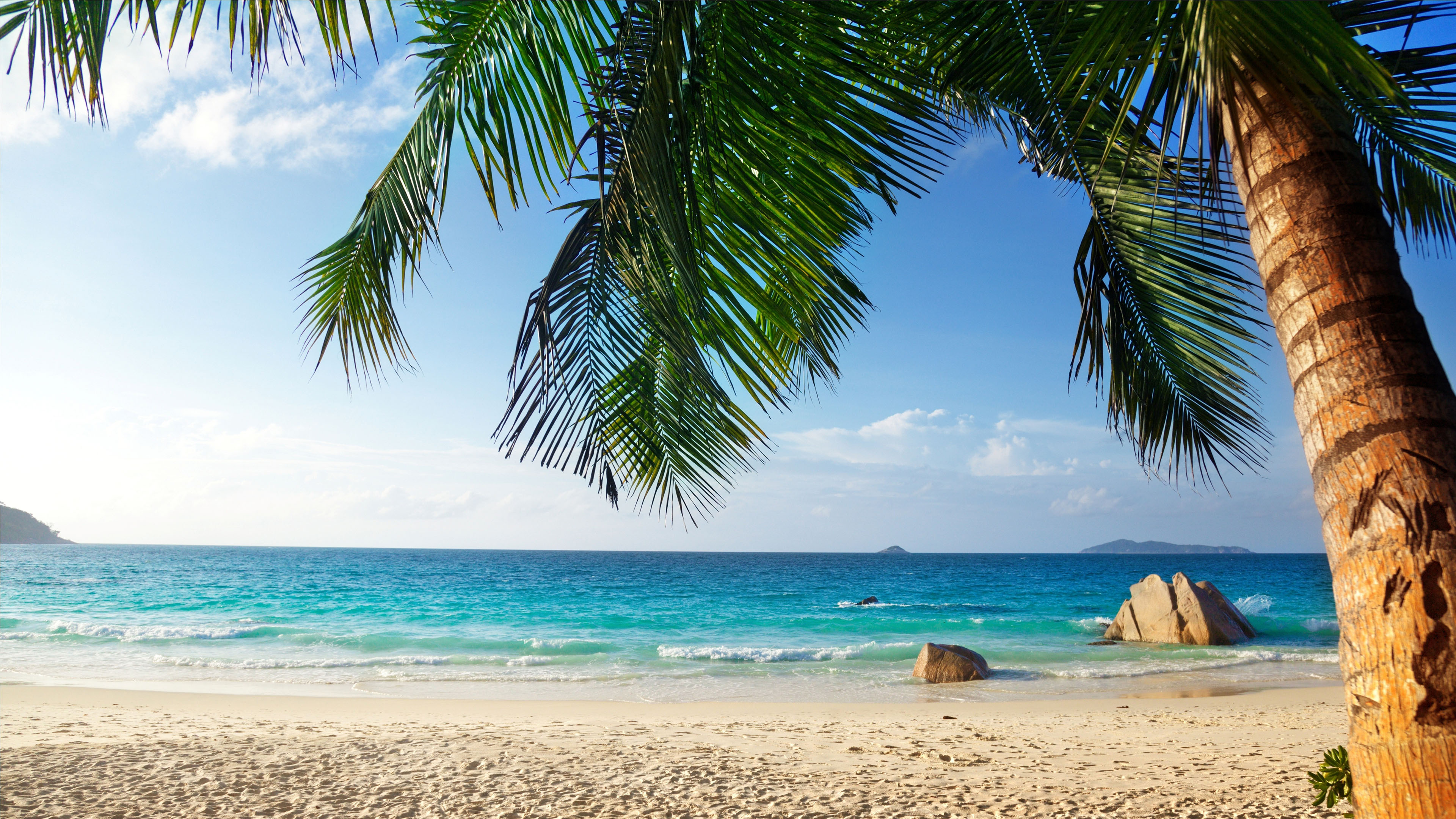 海洋天堂,沙滩,椰树,海浪