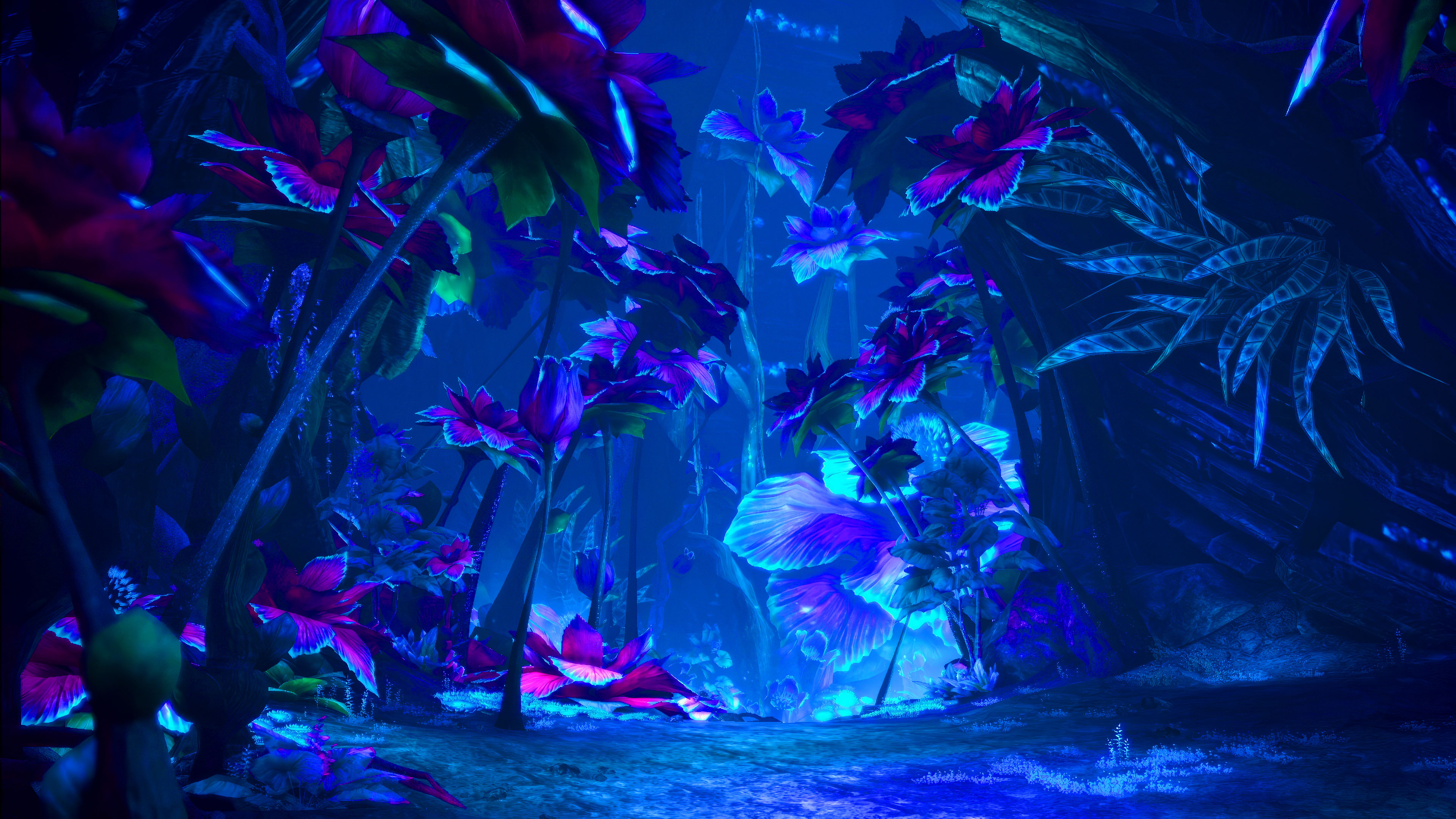 森林,丛林,精灵,巨大