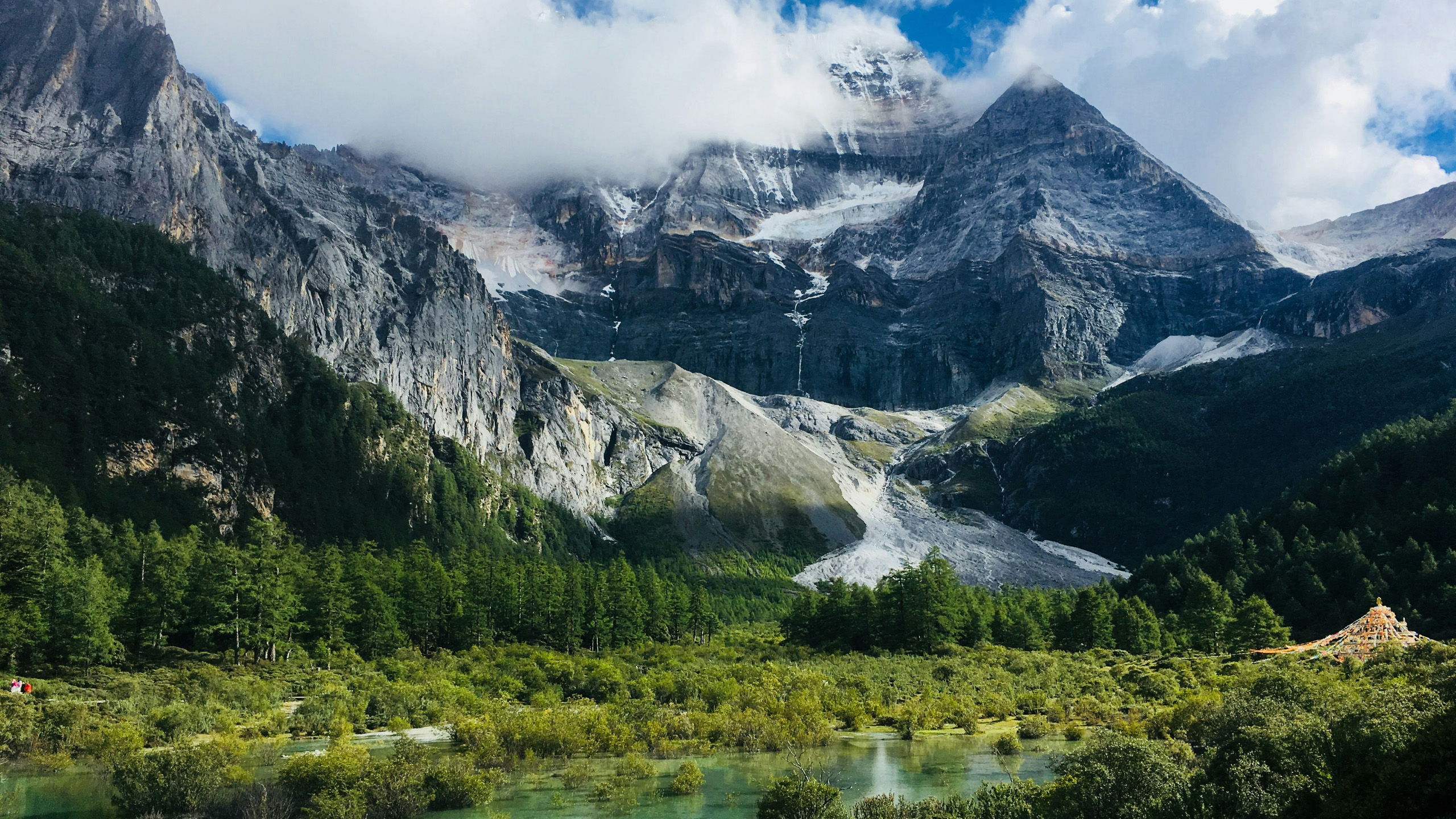 自然风光,雪山,树林,山谷,雾