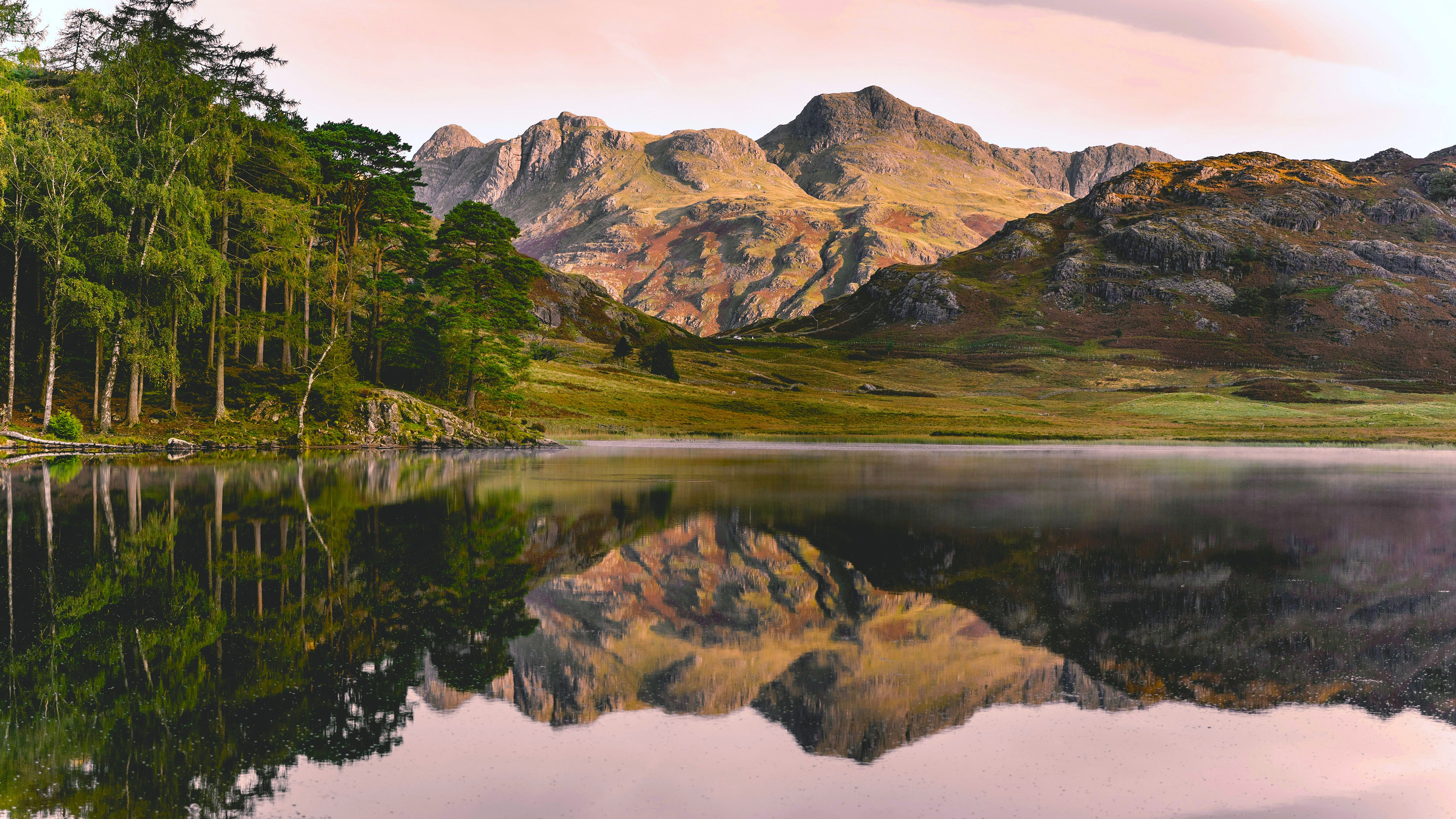 倒影,树林,湖泊
