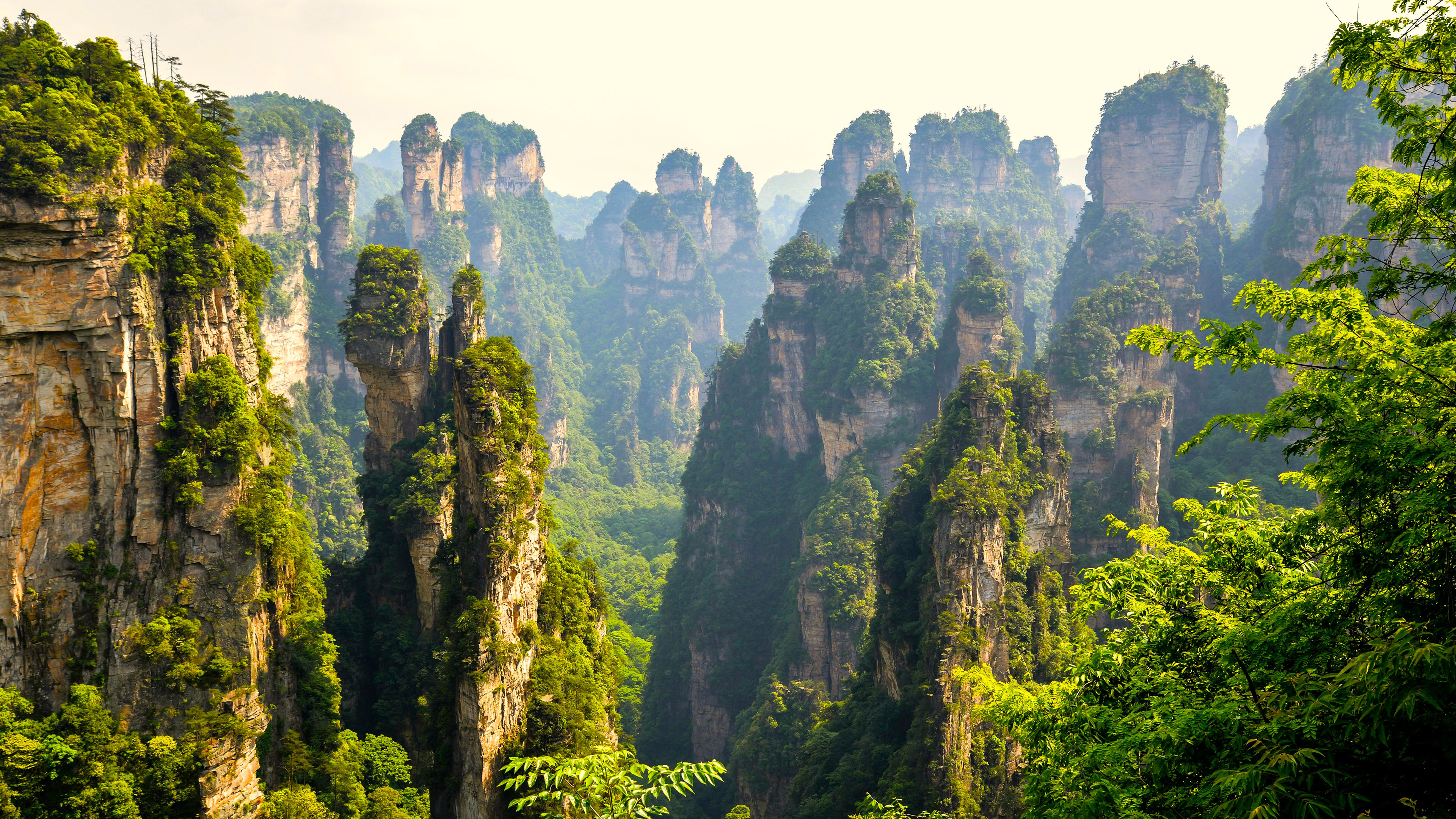 张家界,山峰,仙境,自然风光