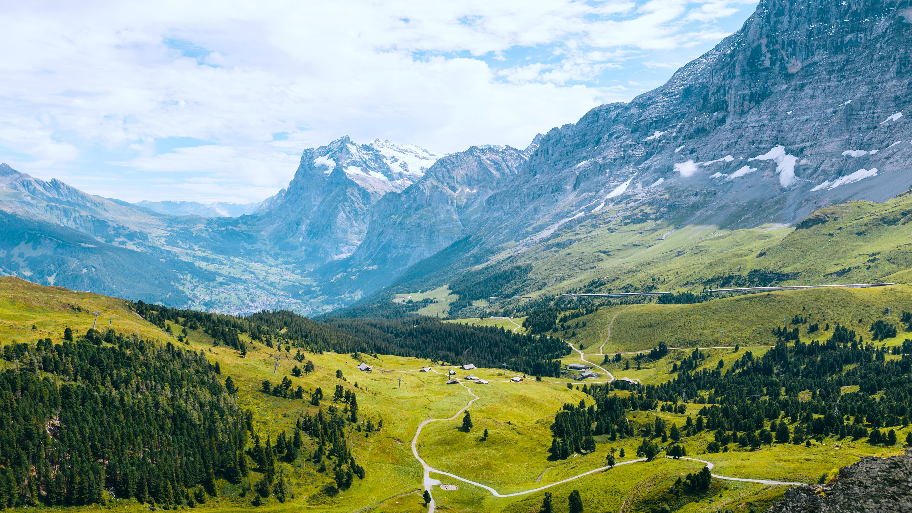 自然风光,雪山,草原,树林,山坡