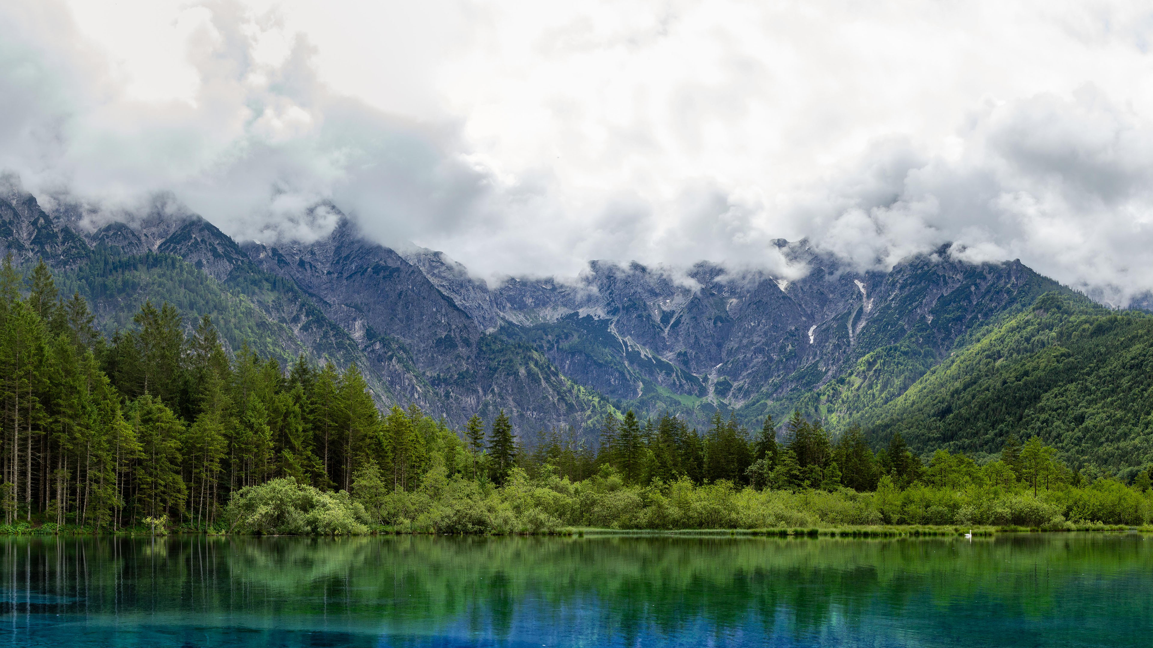 山谷,湖泊,树林,云雾