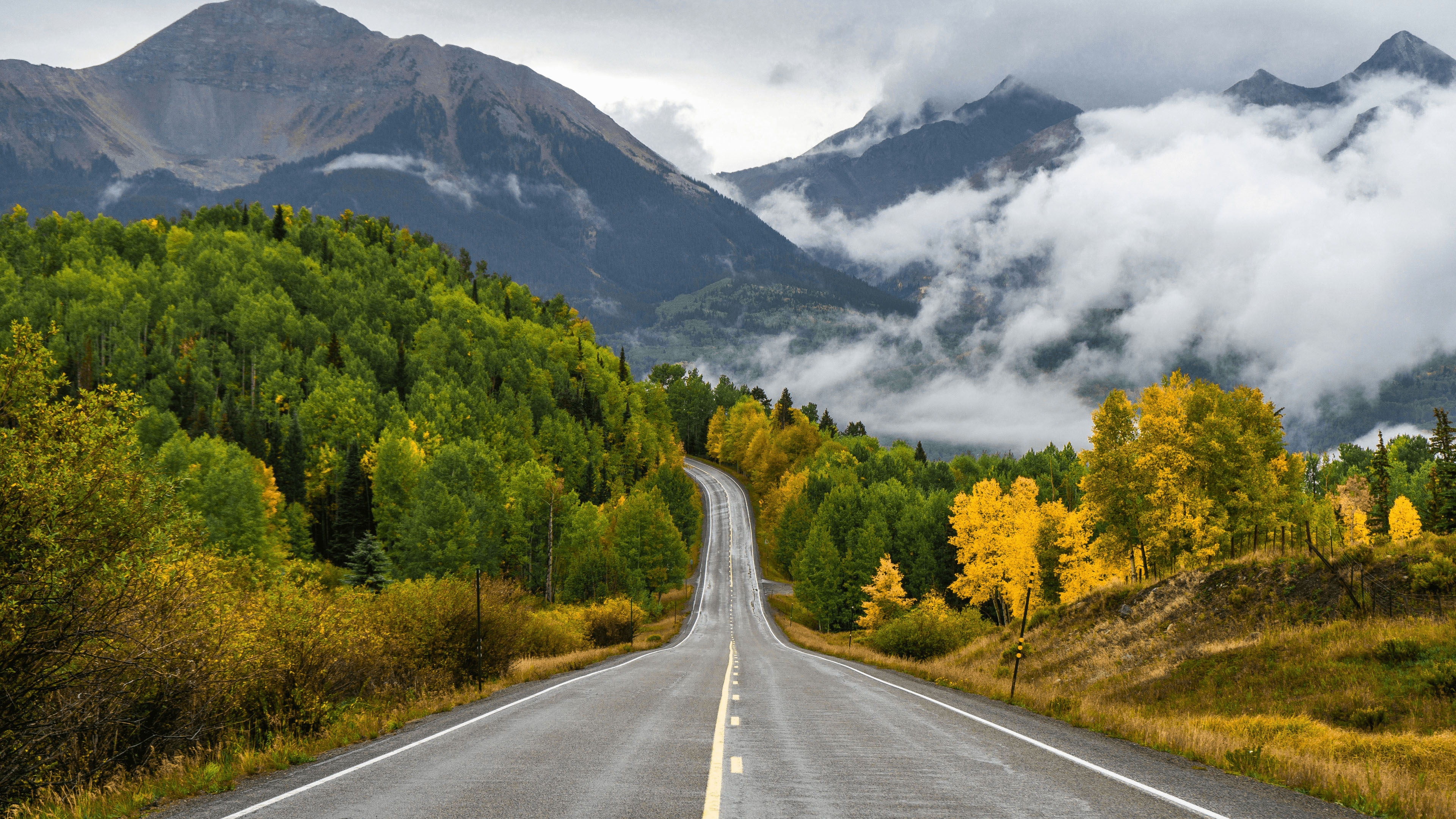 公路,山谷,丘陵,,树林