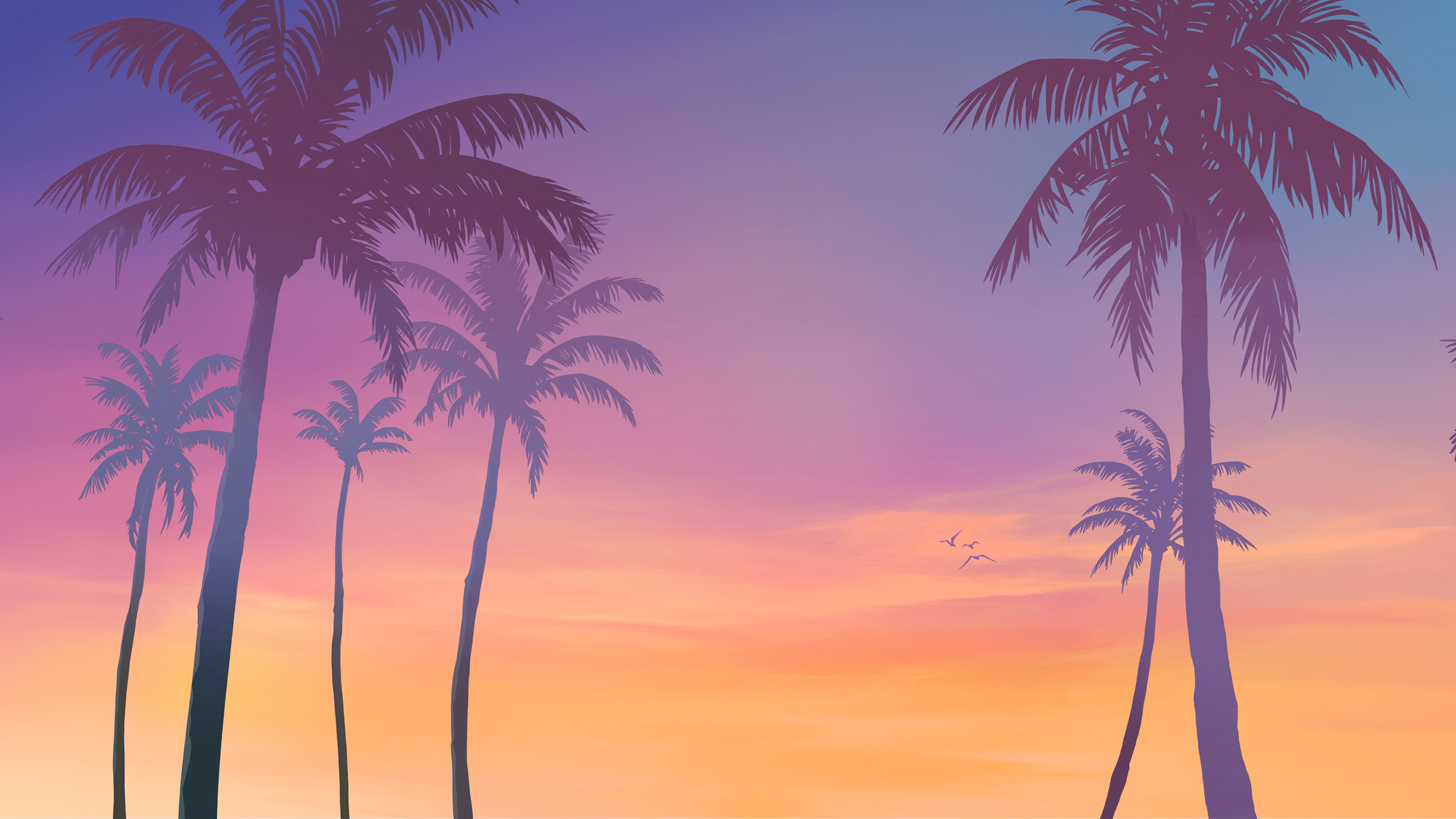 椰树,晚霞,海鸟