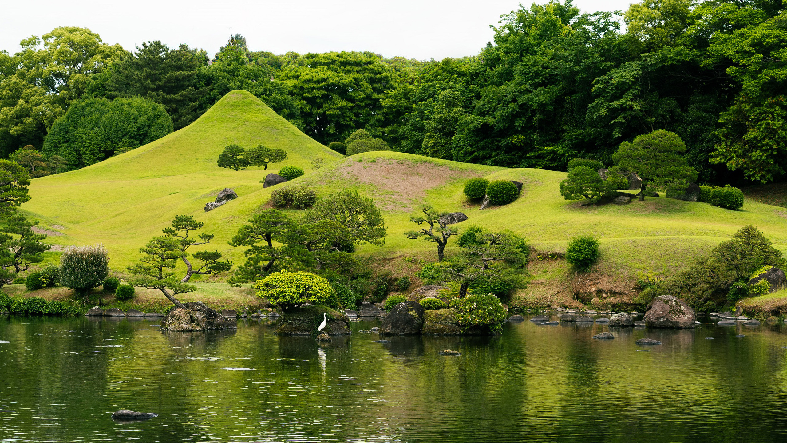 自然风光,园林,湖水,草地