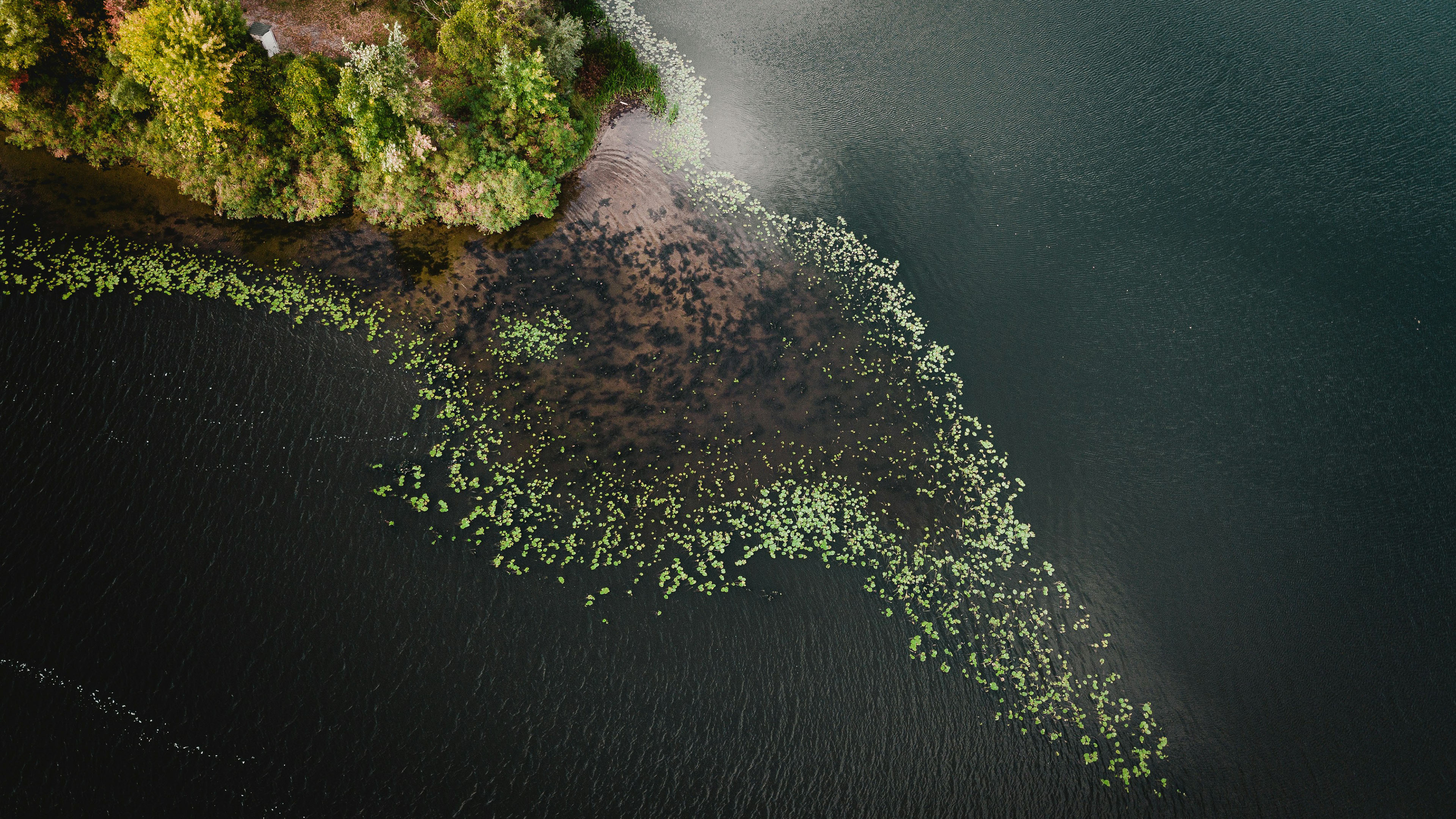 自然风光,海岛,浮萍,小岛