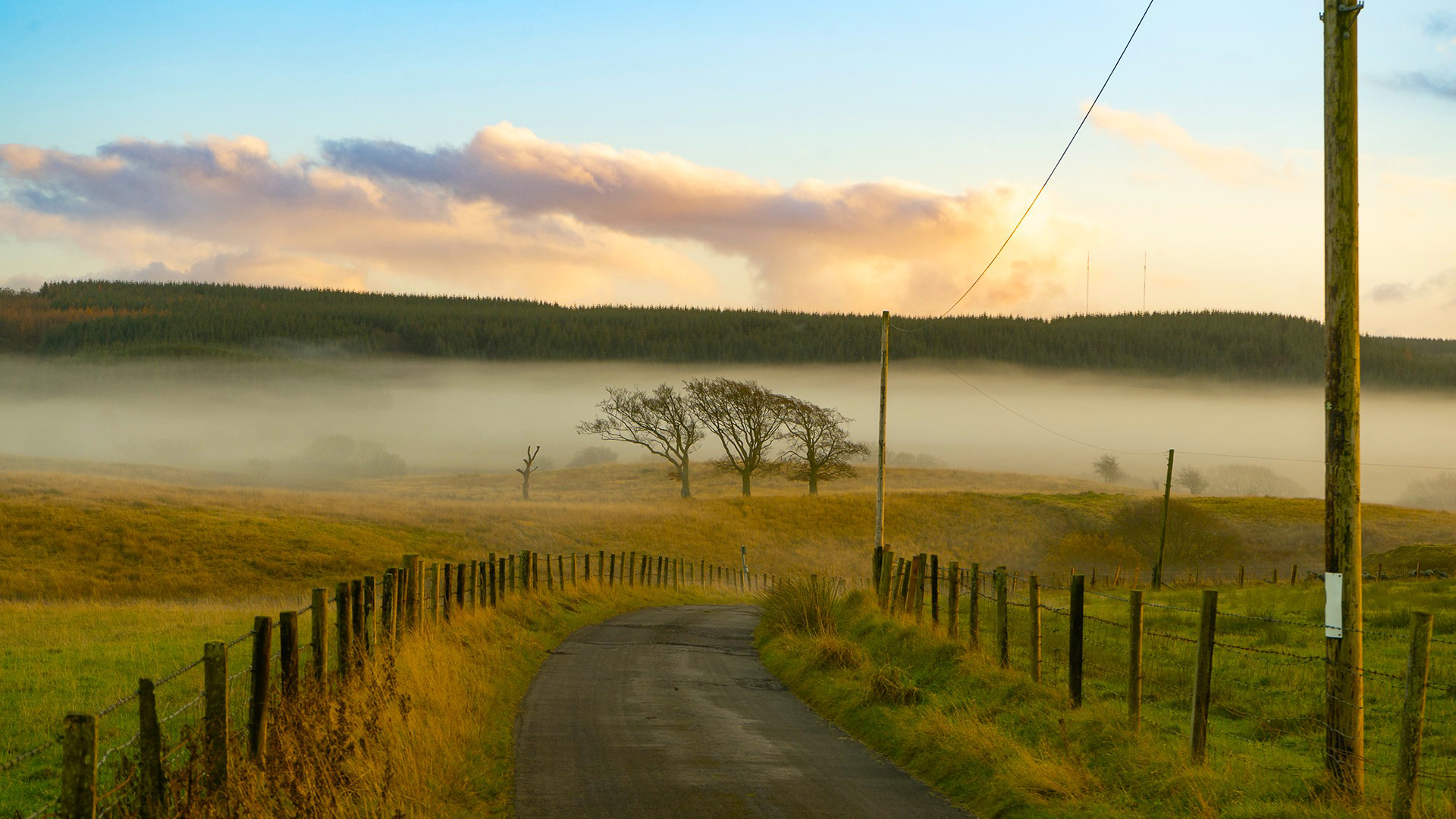 清晨,迷雾,栅栏,草原
