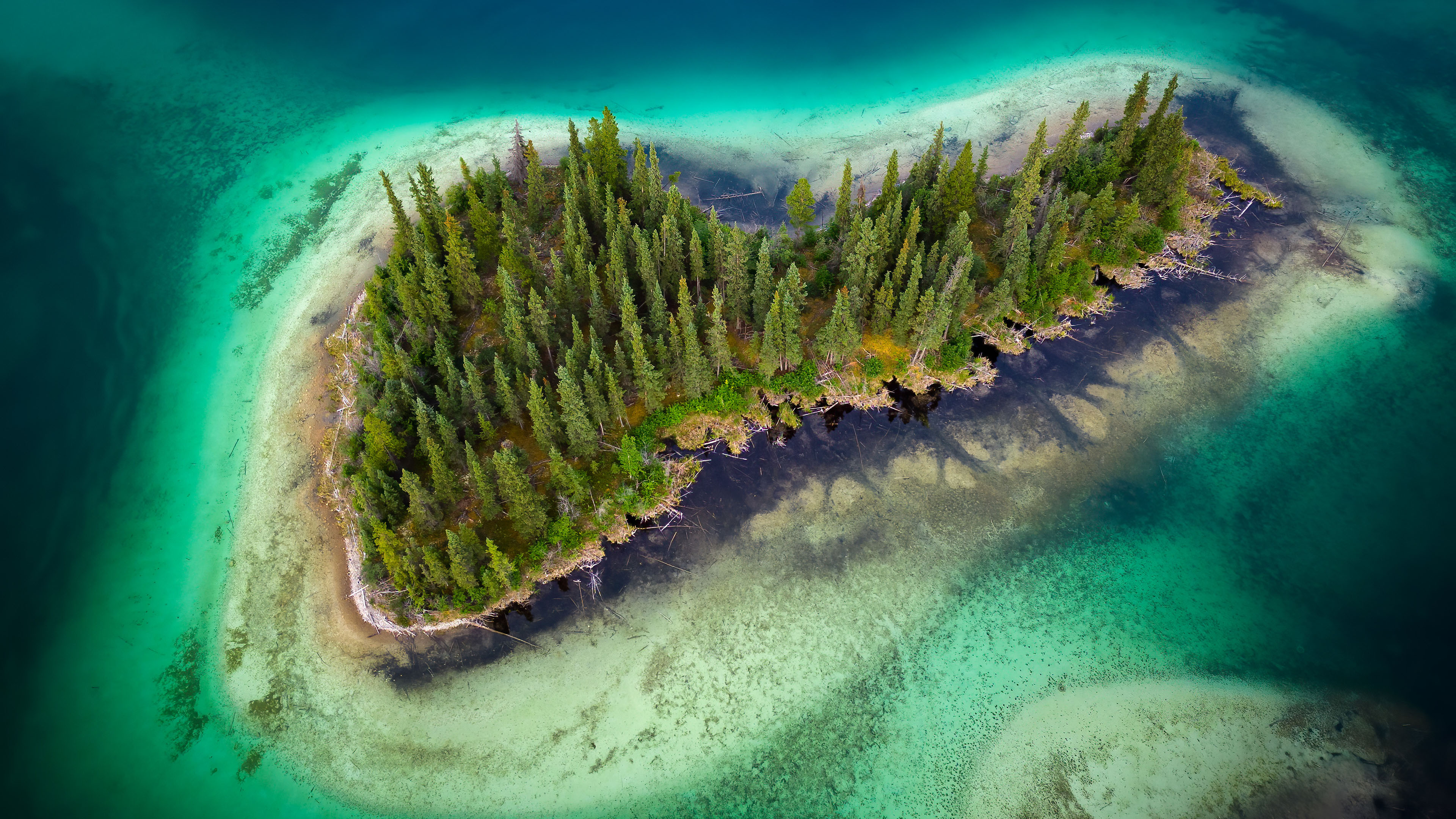 海洋天堂,树林,碧绿,海岛