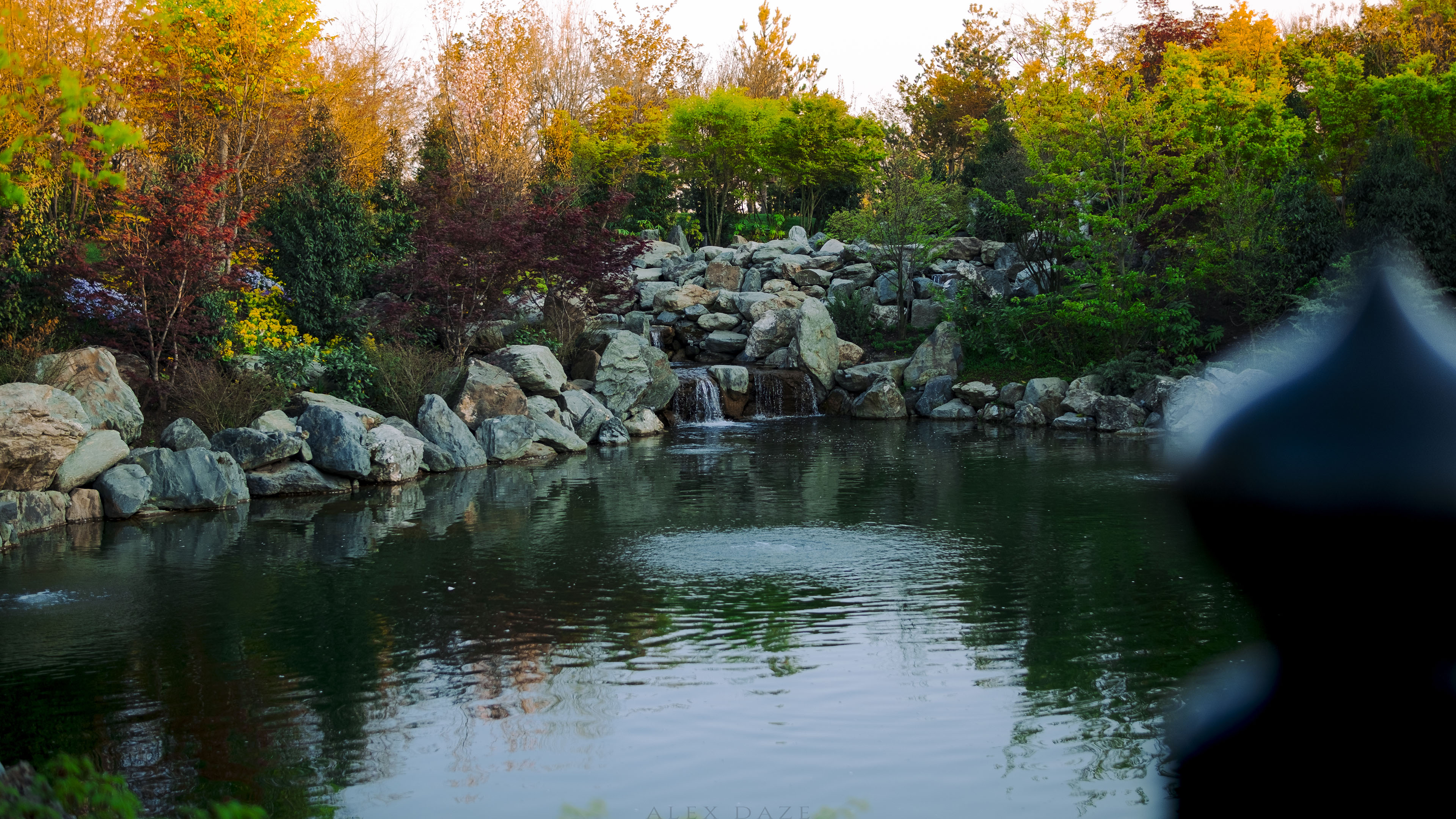 池塘,庭院,深秋,涟漪