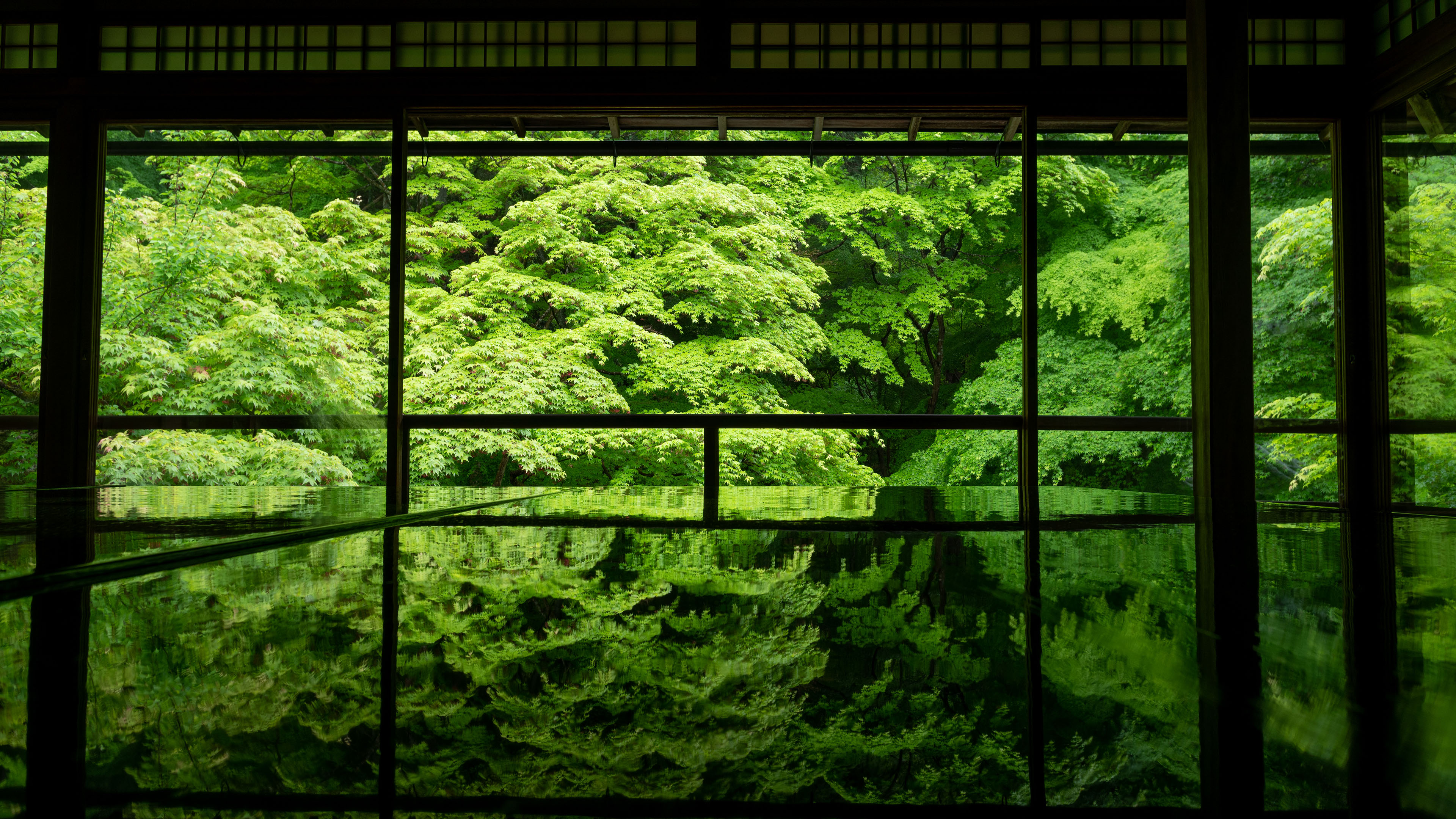 自然风光,庭院,倒影,树林