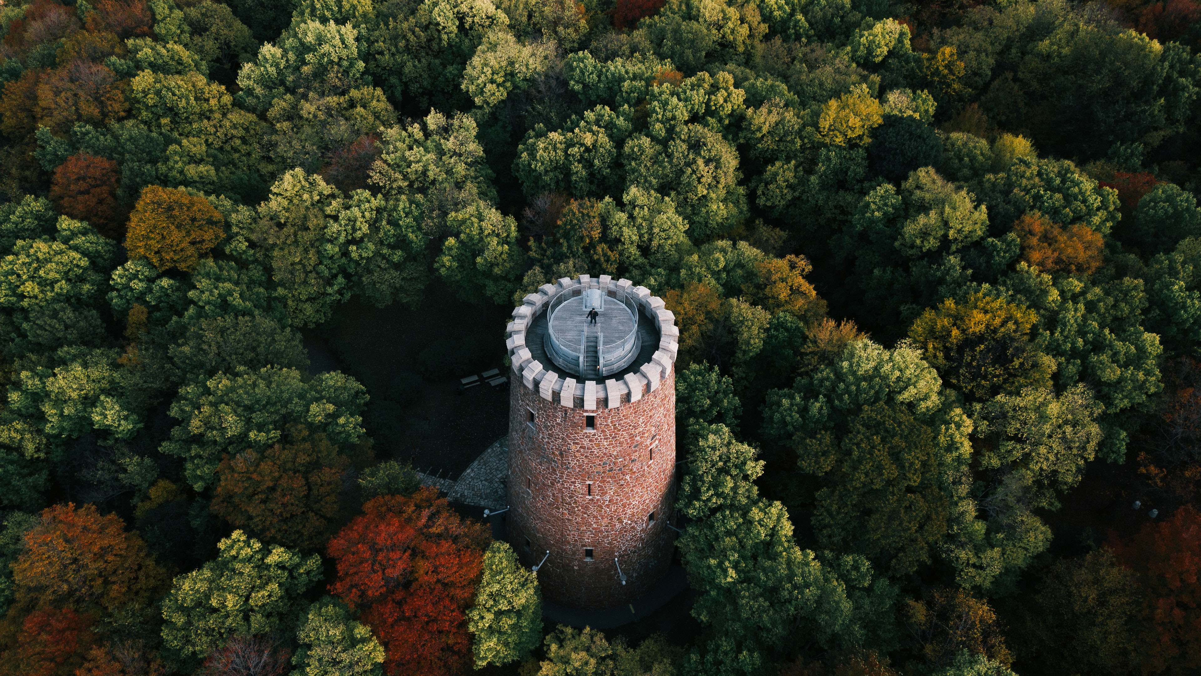 树林,塔楼,航拍,俯瞰