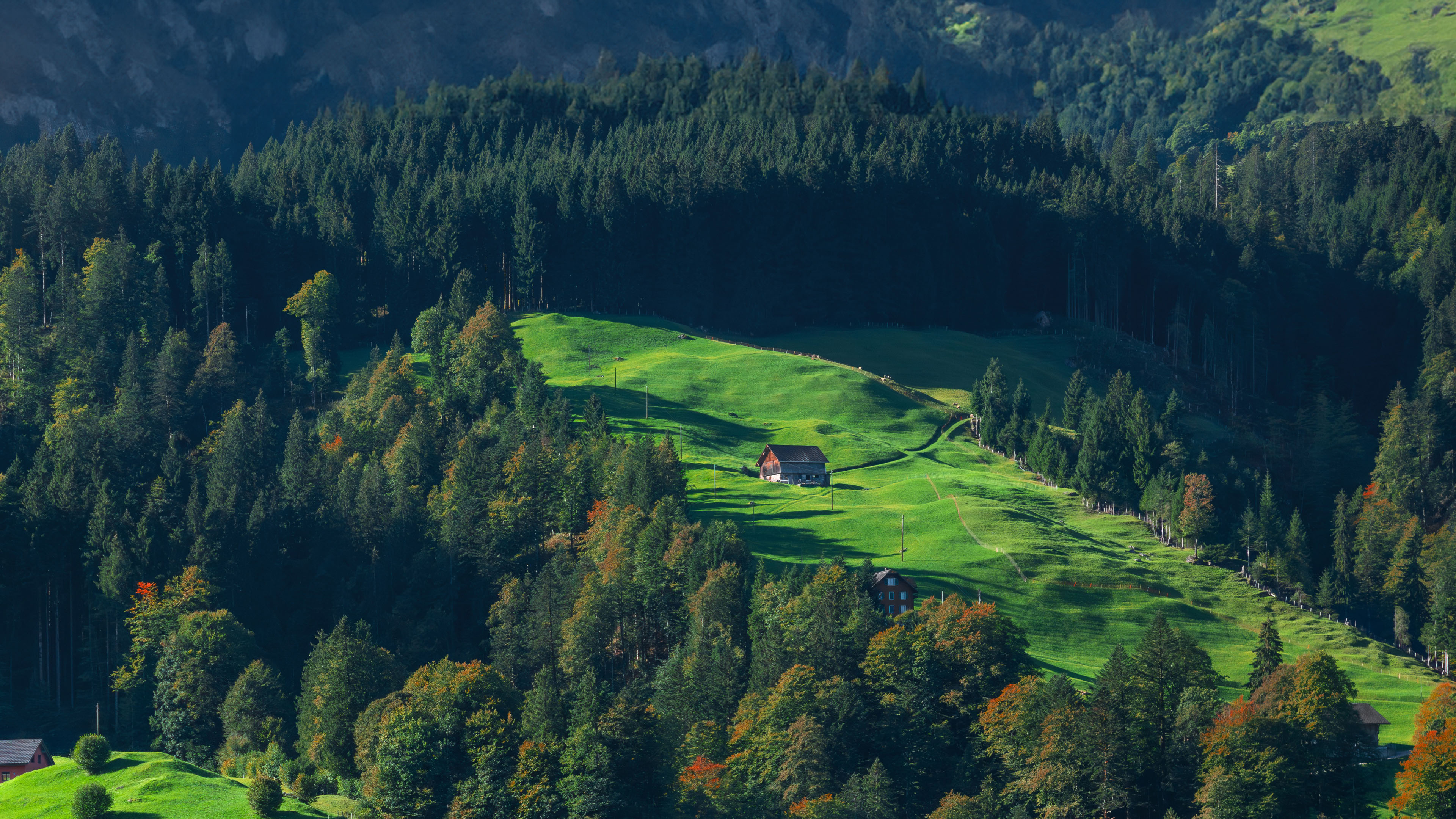 自然风光,山坡,小屋,树林