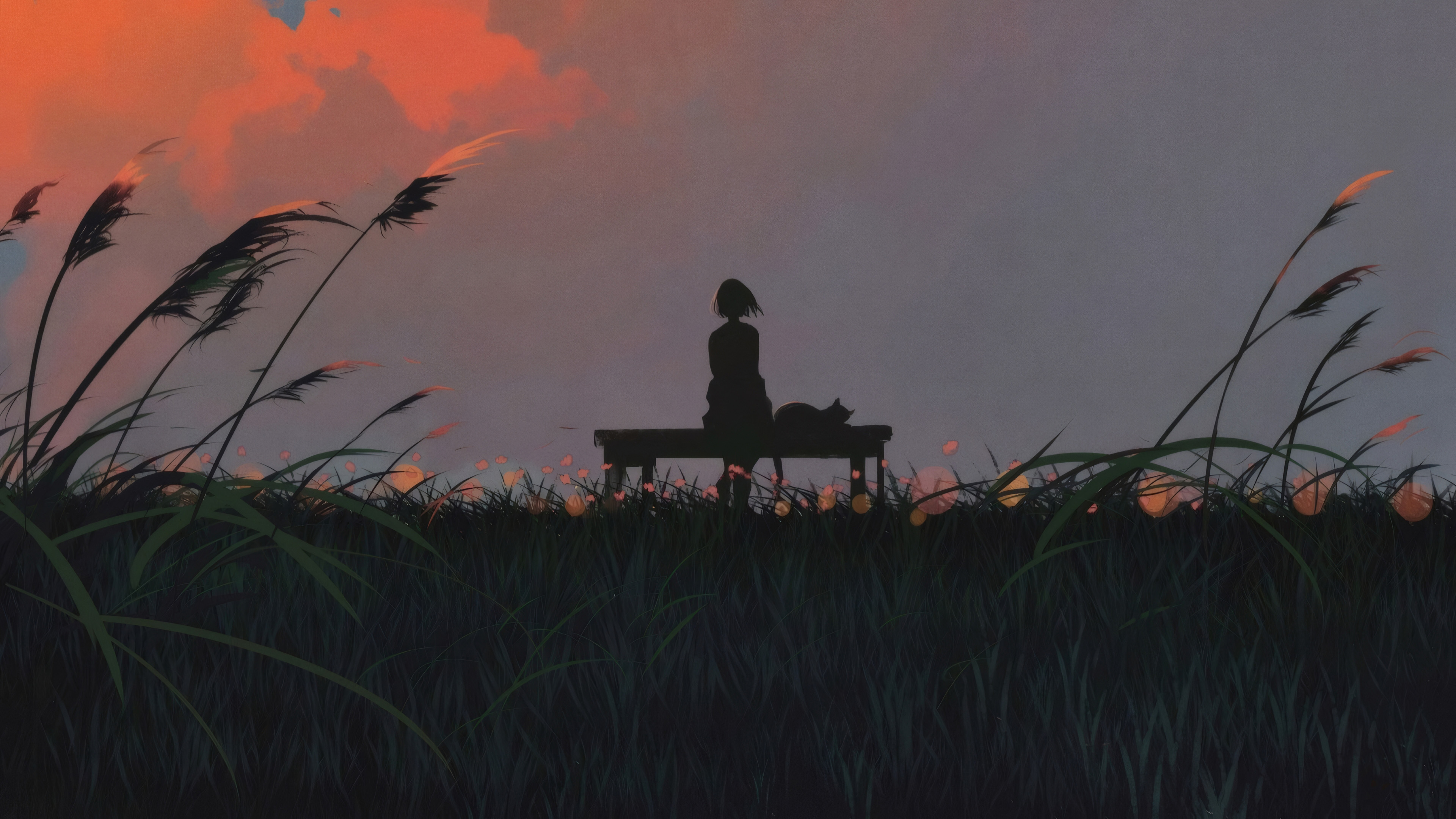 芦苇,晚霞,少女,猫咪,背影