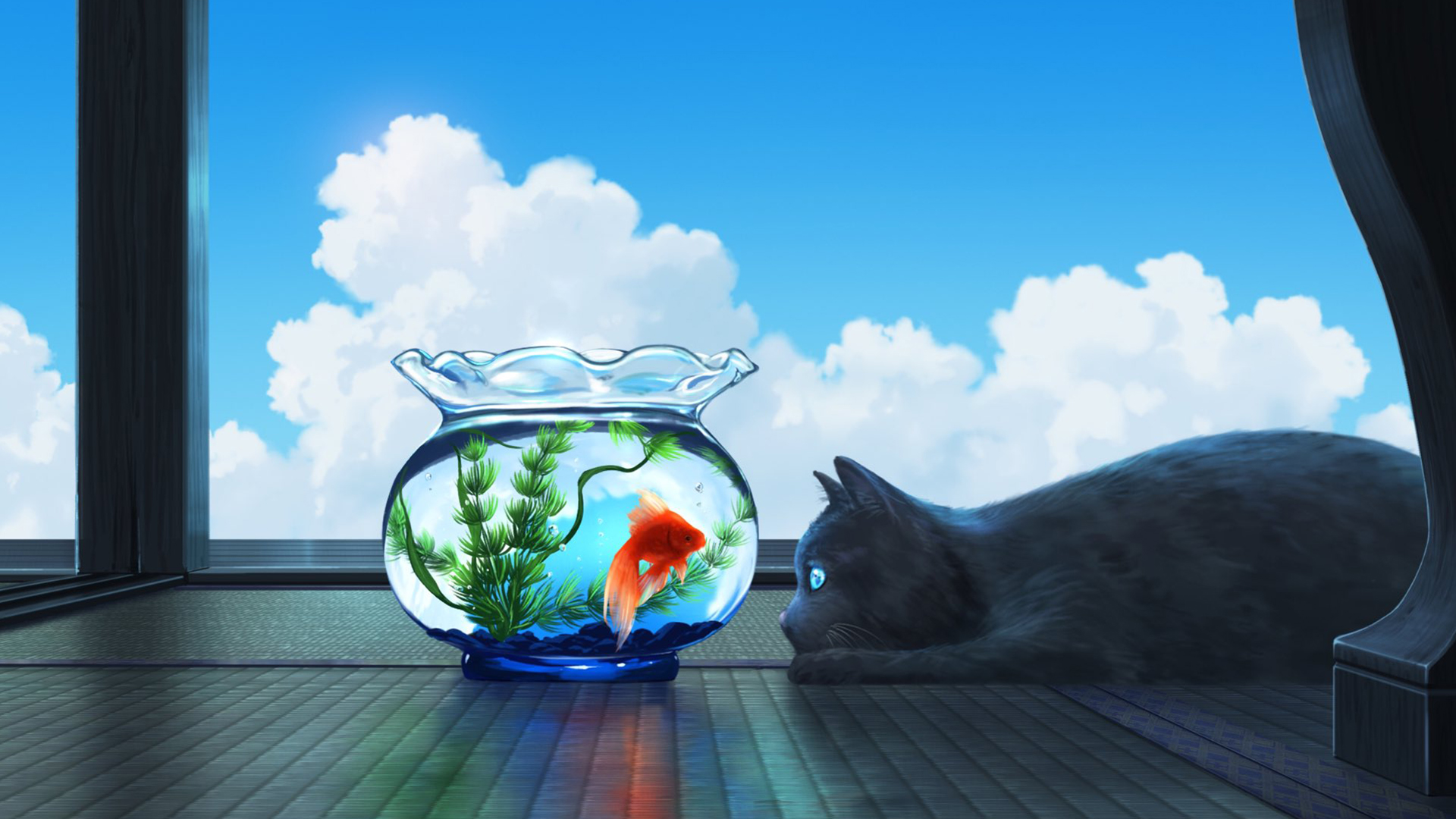 金鱼,鱼缸,猫咪,云朵,窗台