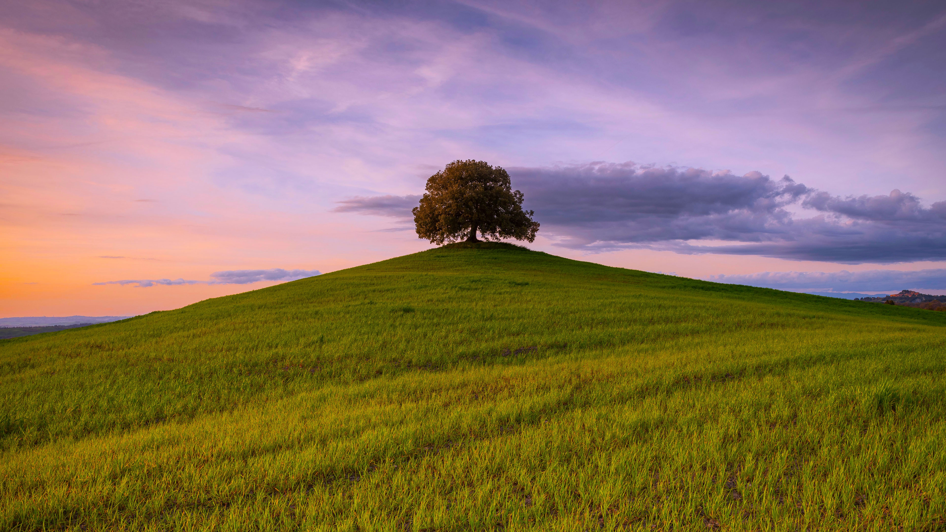 自然风光,草地,山丘,大树,晚霞
