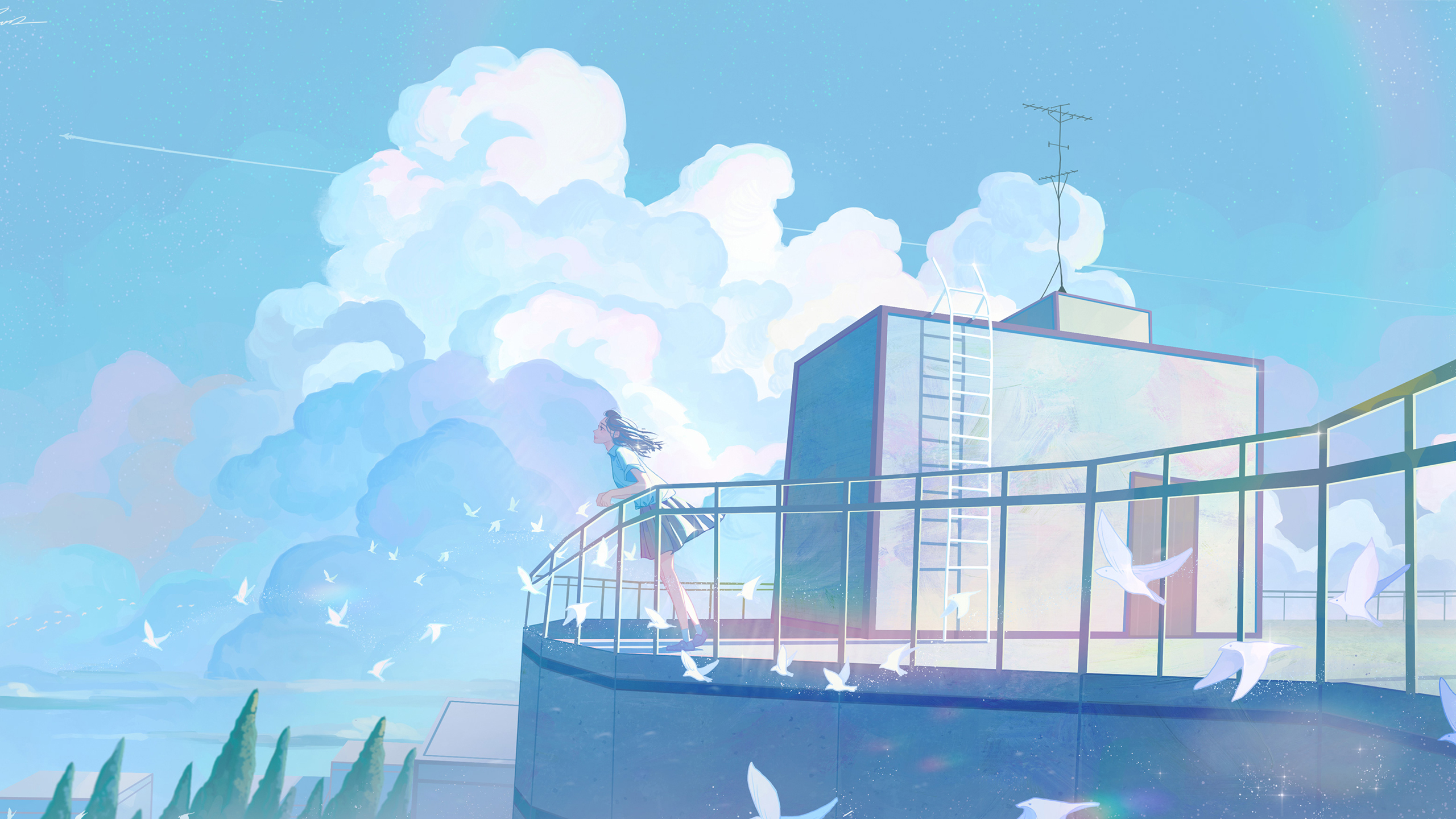 云朵,白鸽,屋顶,天线