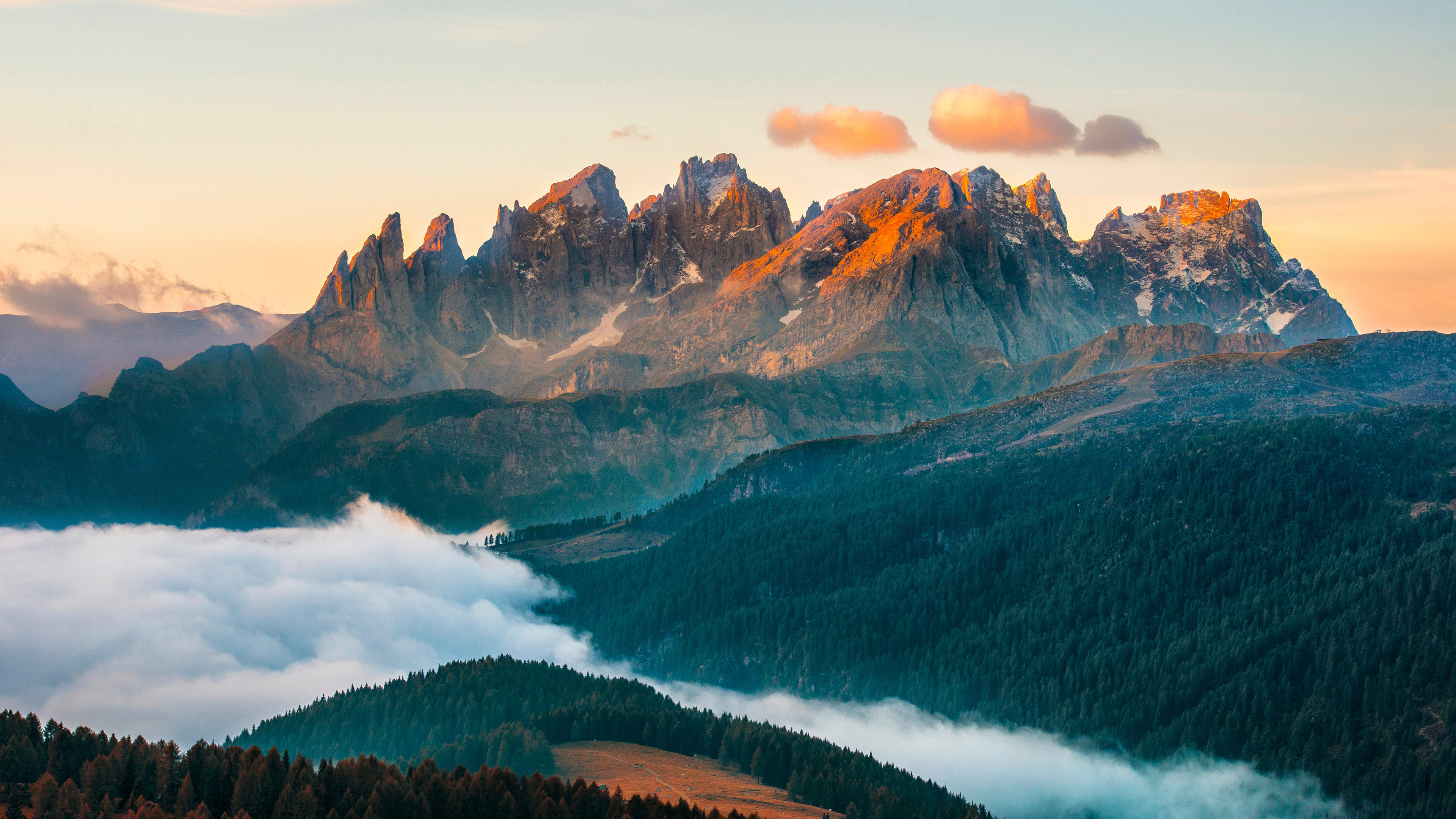 山峰,云海,峡谷,树林