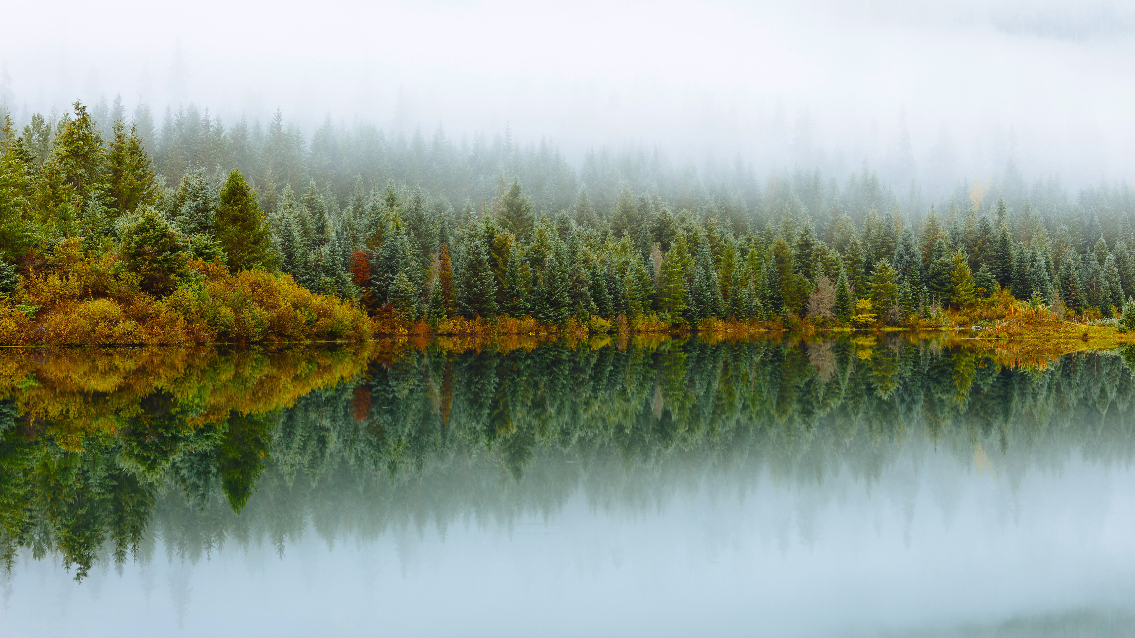 自然风光,树林,倒影,湖泊
