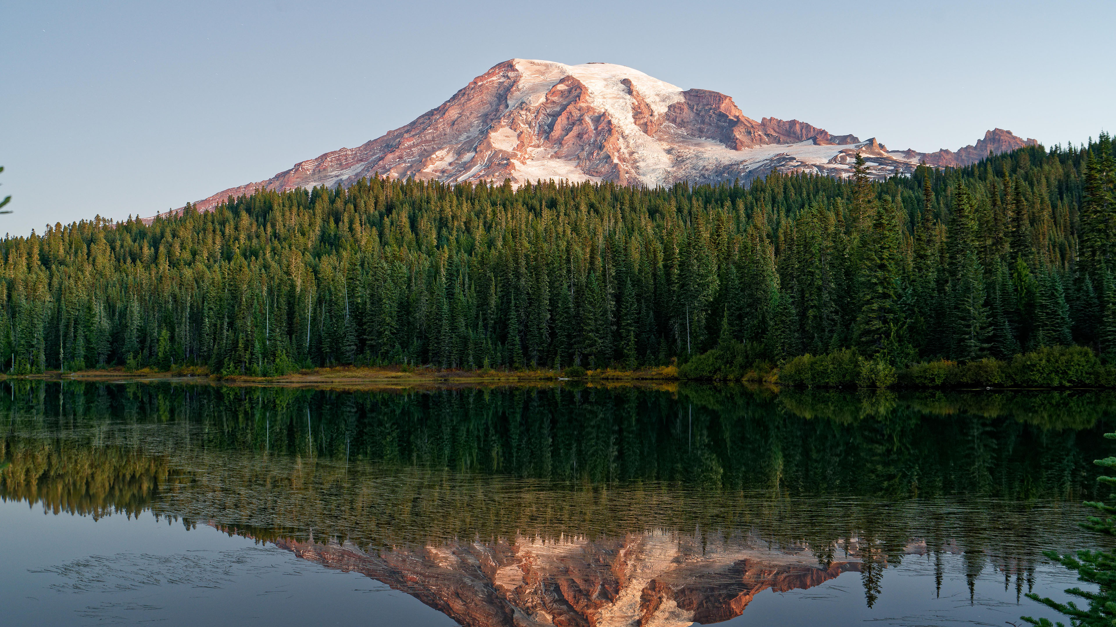 树林,雪山,湖中倒影
