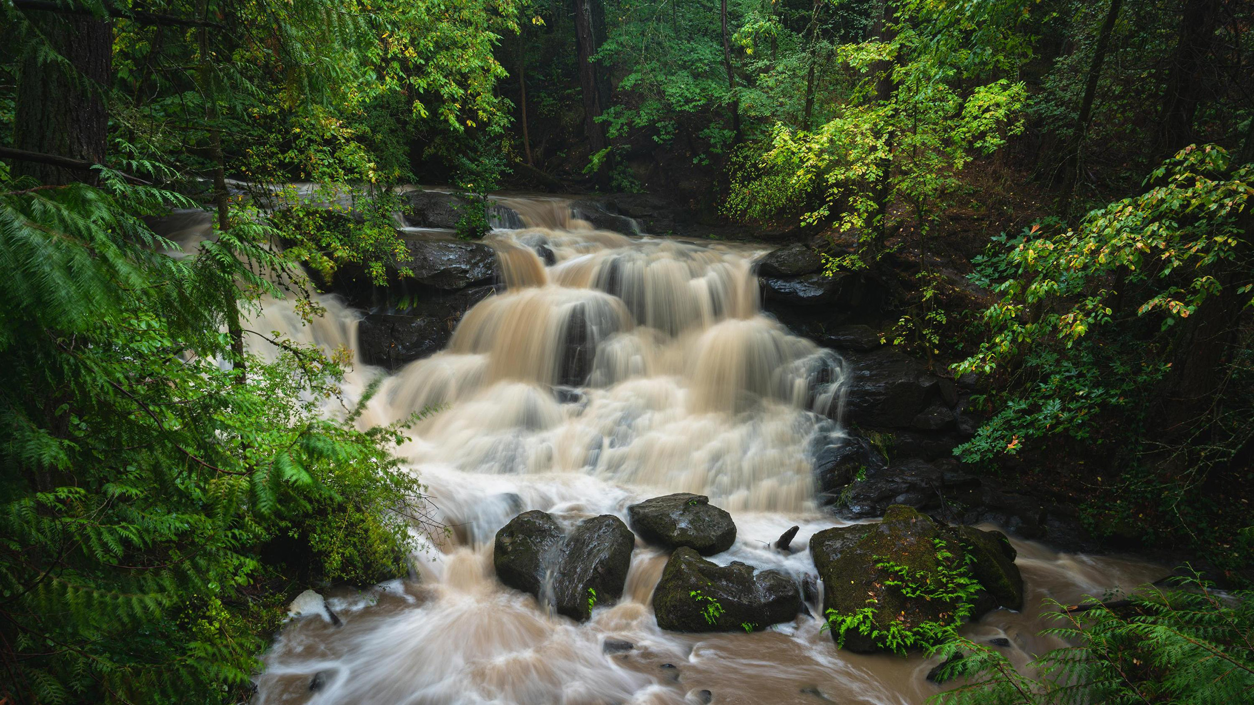 河流,山谷,幽静,石头