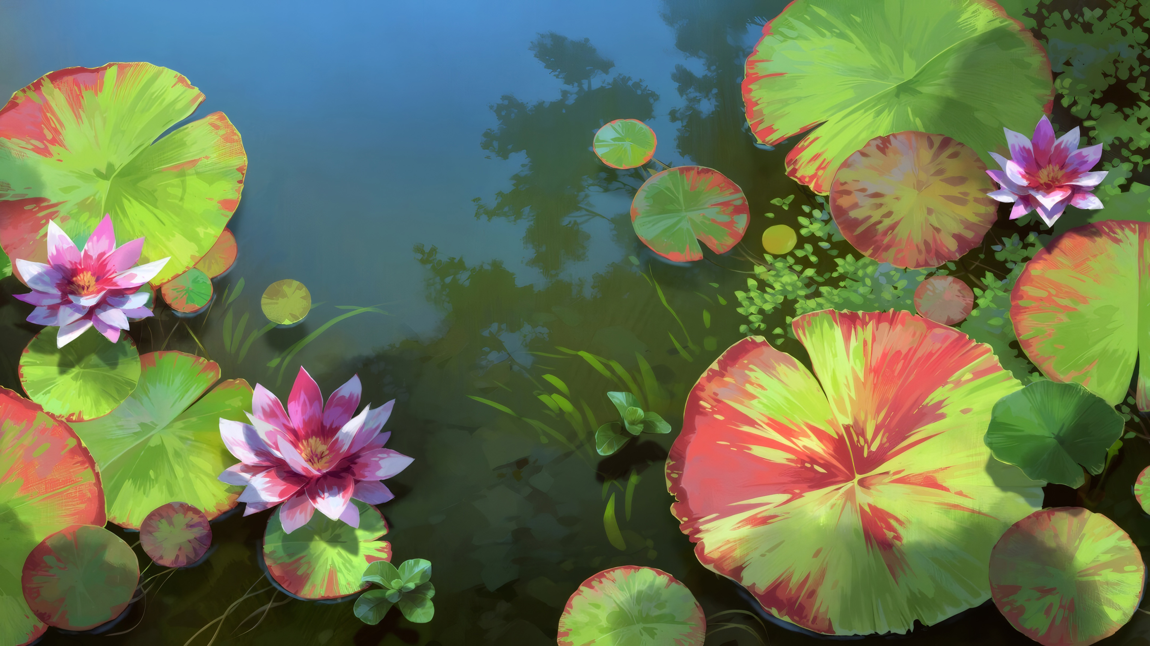 荷叶,莲花,池塘,盛夏