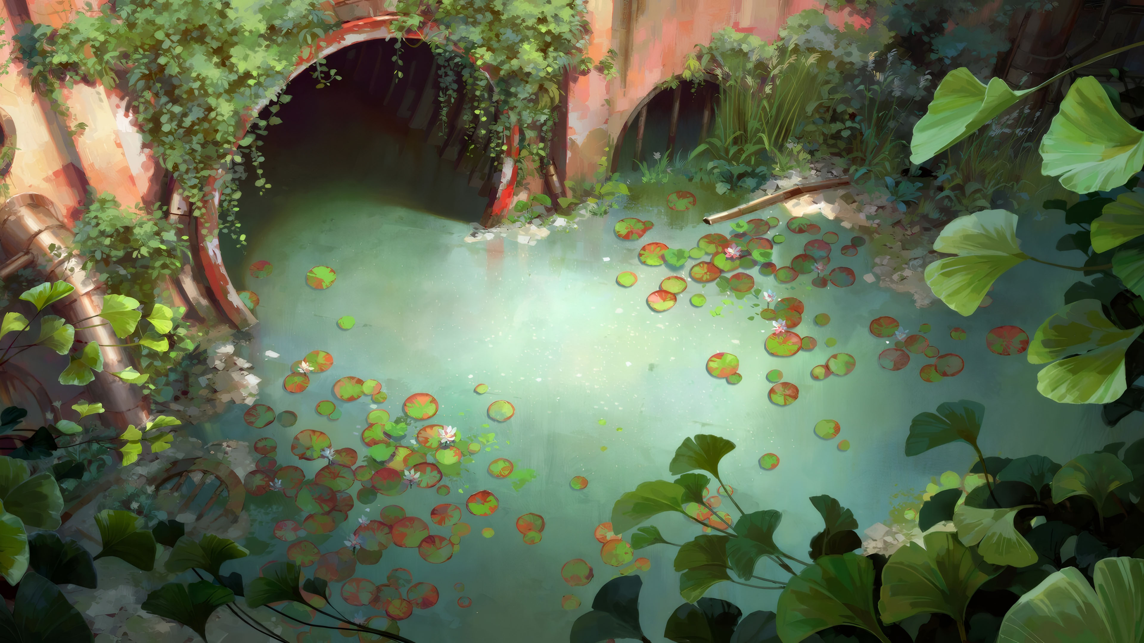 下水道,荷叶,洞口,银杏